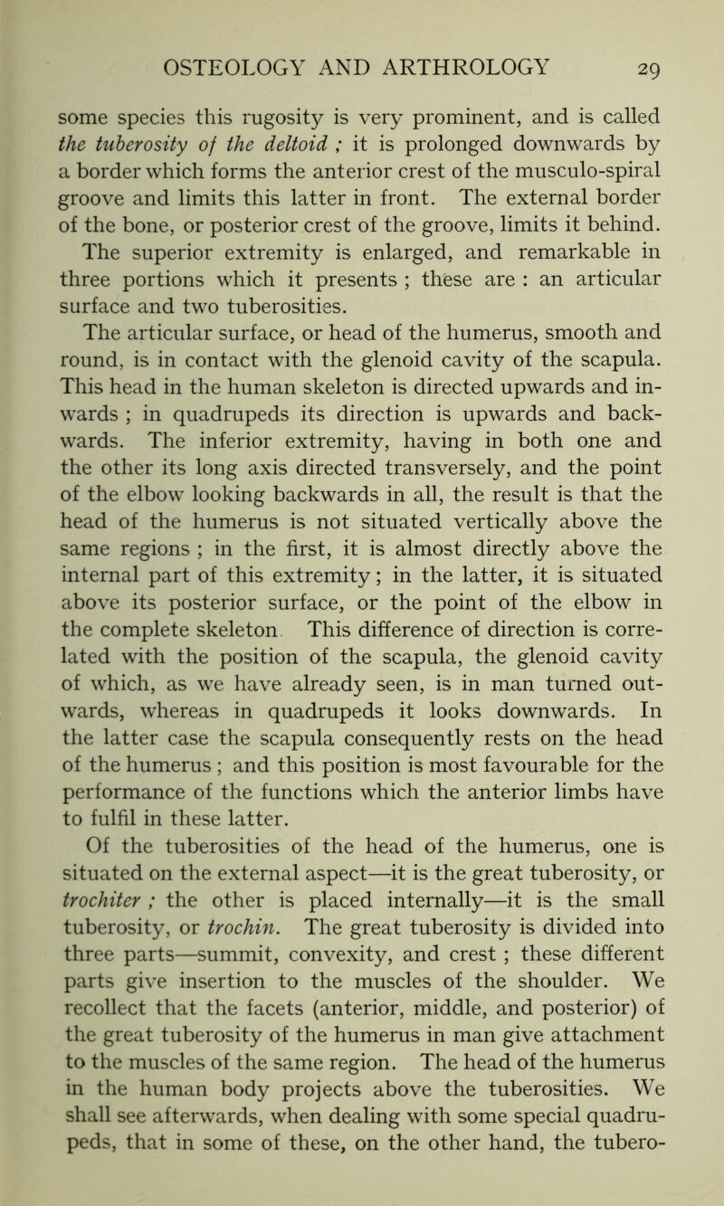 some species this rugosity is very prominent, and is called the tuberosity of the deltoid ; it is prolonged downwards by a border which forms the anterior crest of the musculo-spiral groove and limits this latter in front. The external border of the bone, or posterior crest of the groove, limits it behind. The superior extremity is enlarged, and remarkable in three portions which it presents ; these are : an articular surface and two tuberosities. The articular surface, or head of the humerus, smooth and round, is in contact with the glenoid cavity of the scapula. This head in the human skeleton is directed upwards and in- wards ; in quadrupeds its direction is upwards and back- wards. The inferior extremity, having in both one and the other its long axis directed transversely, and the point of the elbow looking backwards in all, the result is that the head of the humerus is not situated vertically above the same regions ; in the first, it is almost directly above the internal part of this extremity ; in the latter, it is situated above its posterior surface, or the point of the elbow in the complete skeleton This difference of direction is corre- lated with the position of the scapula, the glenoid cavity of which, as we have already seen, is in man turned out- wards, whereas in quadrupeds it looks downwards. In the latter case the scapula consequently rests on the head of the humerus ; and this position is most favourable for the performance of the functions which the anterior limbs have to fulfil in these latter. Of the tuberosities of the head of the humerus, one is situated on the external aspect—it is the great tuberosity, or trochiter ; the other is placed internally—it is the small tuberosity, or trochin. The great tuberosity is divided into three parts—summit, convexity, and crest ; these different parts give insertion to the muscles of the shoulder. We recollect that the facets (anterior, middle, and posterior) of the great tuberosity of the humerus in man give attachment to the muscles of the same region. The head of the humerus in the human body projects above the tuberosities. We shall see afterwards, when dealing with some special quadru- peds, that in some of these, on the other hand, the tubero-