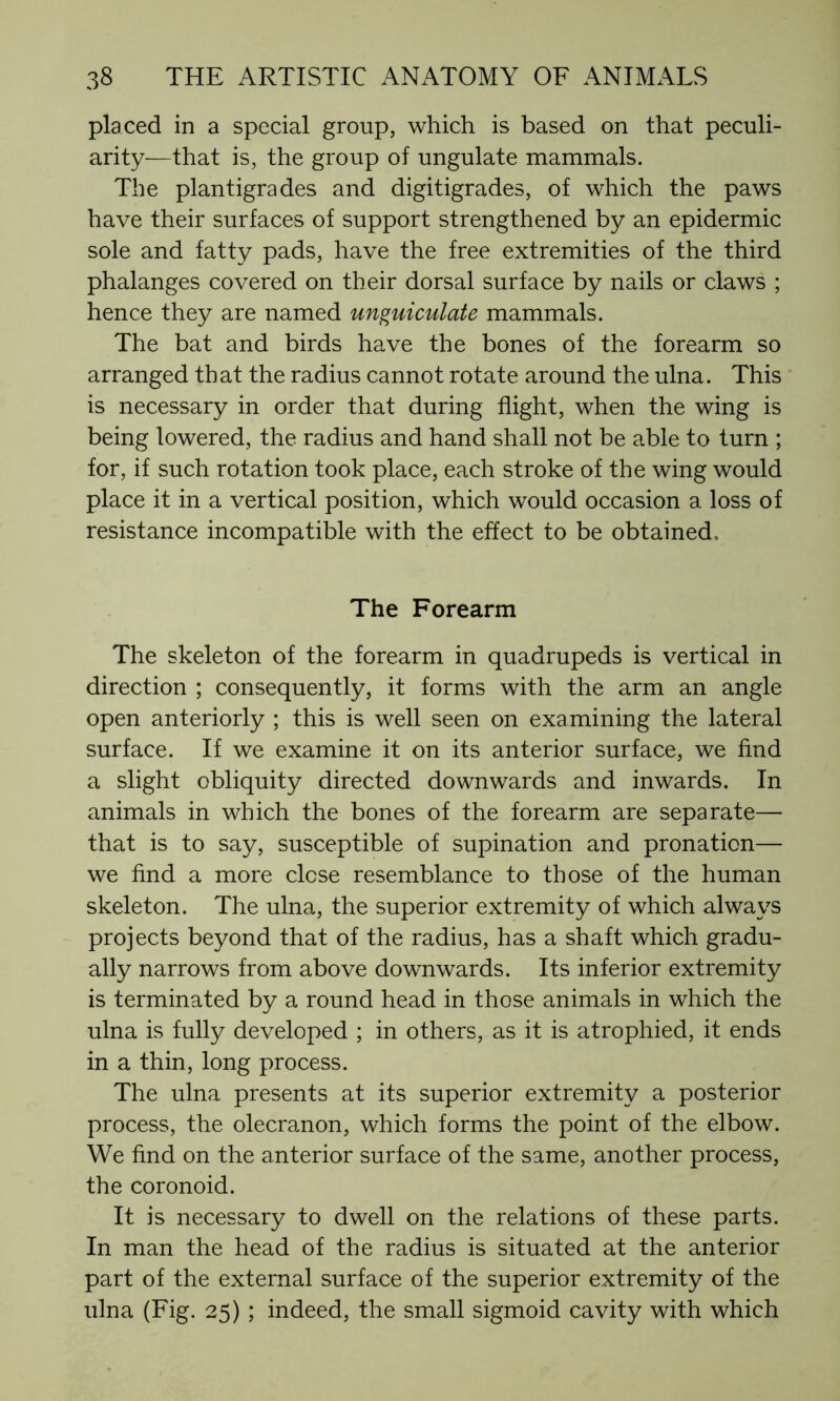 placed in a special group, which is based on that peculi- arity—that is, the group of ungulate mammals. The plantigrades and digitigrades, of which the paws have their surfaces of support strengthened by an epidermic sole and fatty pads, have the free extremities of the third phalanges covered on their dorsal surface by nails or claws ; hence they are named unguiculate mammals. The bat and birds have the bones of the forearm so arranged that the radius cannot rotate around the ulna. This is necessary in order that during flight, when the wing is being lowered, the radius and hand shall not be able to turn ; for, if such rotation took place, each stroke of the wing would place it in a vertical position, which would occasion a loss of resistance incompatible with the effect to be obtained. The Forearm The skeleton of the forearm in quadrupeds is vertical in direction ; consequently, it forms with the arm an angle open anteriorly ; this is well seen on examining the lateral surface. If we examine it on its anterior surface, we find a slight obliquity directed downwards and inwards. In animals in which the bones of the forearm are separate— that is to say, susceptible of supination and pronation— we find a more close resemblance to those of the human skeleton. The ulna, the superior extremity of which always projects beyond that of the radius, has a shaft which gradu- ally narrows from above downwards. Its inferior extremity is terminated by a round head in those animals in which the ulna is fully developed ; in others, as it is atrophied, it ends in a thin, long process. The ulna presents at its superior extremity a posterior process, the olecranon, which forms the point of the elbow. We find on the anterior surface of the same, another process, the coronoid. It is necessary to dwell on the relations of these parts. In man the head of the radius is situated at the anterior part of the external surface of the superior extremity of the ulna (Fig. 25) ; indeed, the small sigmoid cavity with which