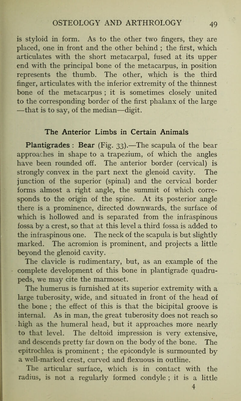 is styloid in form. As to the other two fingers, they are placed, one in front and the other behind ; the first, which articulates with the short metacarpal, fused at its upper end with the principal bone of the metacarpus, in position represents the thumb. The other, which is the third finger, articulates with the inferior extremity of the thinnest bone of the metacarpus ; it is sometimes closely united to the corresponding border of the first phalanx of the large —that is to say, of the median—digit. The Anterior Limbs in Certain Animals Plantigrades : Bear (Fig. 33).—The scapula of the bear approaches in shape to a trapezium, of which the angles have been rounded off. The anterior border (cervical) is strongly convex in the part next the glenoid cavity. The junction of the superior (spinal) and the cervical border forms almost a right angle, the summit of which corre- sponds to the origin of the spine. At its posterior angle there is a prominence, directed downwards, the surface of which is hollowed and is separated from the infraspinous fossa by a crest, so that at this level a third fossa is added to the infraspinous one. The neck of the scapula is but slightly marked. The acromion is prominent, and projects a little beyond the glenoid cavity. The clavicle is rudimentary, but, as an example of the complete development of this bone in plantigrade quadru- peds, we may cite the marmoset. The humerus is furnished at its superior extremity with a large tuberosity, wide, and situated in front of the head of the bone ; the effect of this is that the bicipital groove is internal. As in man, the great tuberosity does not reach so high as the humeral head, but it approaches more nearly to that level. The deltoid impression is very extensive, and descends pretty far down on the body of the bone. The epitrochlea is prominent ; the epicondyle is surmounted by a well-marked crest, curved and flexuous in outline. The articular surface, which is in contact with the radius, is not a regularly formed condyle ; it is a little 4