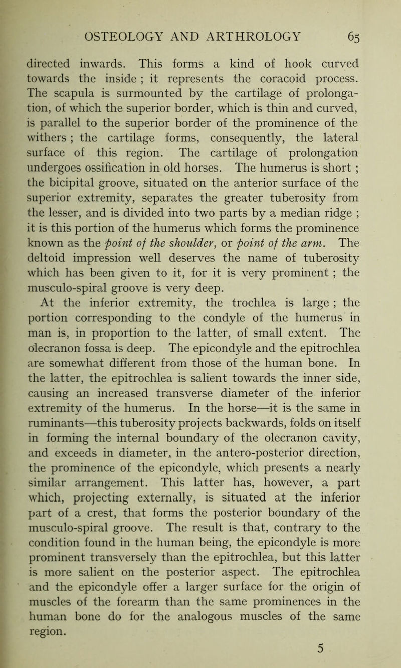 directed inwards. This forms a kind of hook curved towards the inside ; it represents the coracoid process. The scapula is surmounted by the cartilage of prolonga- tion, of which the superior border, which is thin and curved, is parallel to the superior border of the prominence of the withers ; the cartilage forms, consequently, the lateral surface of this region. The cartilage of prolongation undergoes ossification in old horses. The humerus is short ; the bicipital groove, situated on the anterior surface of the superior extremity, separates the greater tuberosity from the lesser, and is divided into two parts by a median ridge ; it is this portion of the humerus which forms the prominence known as the point of the shoulder, or point of the arm. The deltoid impression well deserves the name of tuberosity which has been given to it, for it is very prominent ; the musculo-spiral groove is very deep. At the inferior extremity, the trochlea is large ; the portion corresponding to the condyle of the humerus in man is, in proportion to the latter, of small extent. The olecranon fossa is deep. The epicondyle and the epitrochlea are somewhat different from those of the human bone. In the latter, the epitrochlea is salient towards the inner side, causing an increased transverse diameter of the inferior extremity of the humerus. In the horse—it is the same in ruminants—this tuberosity projects backwards, folds on itself in forming the internal boundary of the olecranon cavity, and exceeds in diameter, in the antero-posterior direction, the prominence of the epicondyle, which presents a nearly similar arrangement. This latter has, however, a part which, projecting externally, is situated at the inferior part of a crest, that forms the posterior boundary of the musculo-spiral groove. The result is that, contrary to the condition found in the human being, the epicondyle is more prominent transversely than the epitrochlea, but this latter is more salient on the posterior aspect. The epitrochlea and the epicondyle offer a larger surface for the origin of muscles of the forearm than the same prominences in the human bone do for the analogous muscles of the same region. 5