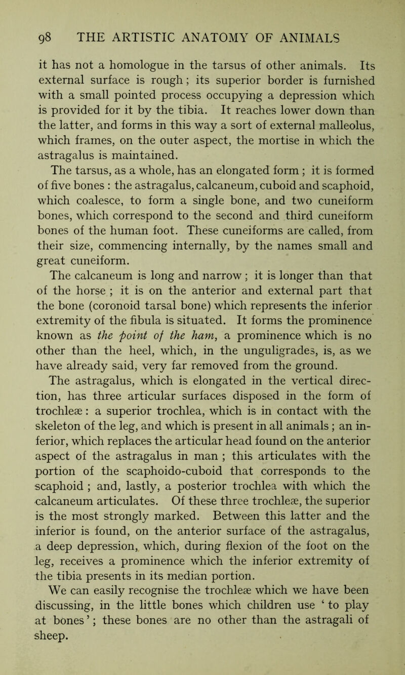 it has not a homologue in the tarsus of other animals. Its external surface is rough ; its superior border is furnished with a small pointed process occupying a depression which is provided for it by the tibia. It reaches lower down than the latter, and forms in this way a sort of external malleolus, which frames, on the outer aspect, the mortise in which the astragalus is maintained. The tarsus, as a whole, has an elongated form ; it is formed of five bones : the astragalus, calcanéum, cuboid and scaphoid, which coalesce, to form a single bone, and two cuneiform bones, which correspond to the second and third cuneiform bones of the human foot. These cuneiforms are called, from their size, commencing internally, by the names small and great cuneiform. The calcanéum is long and narrow ; it is longer than that of the horse ; it is on the anterior and external part that the bone (coronoid tarsal bone) which represents the inferior extremity of the fibula is situated. It forms the prominence known as the point of the ham, a prominence which is no other than the heel, which, in the unguligrades, is, as we have already said, very far removed from the ground. The astragalus, which is elongated in the vertical direc- tion, has three articular surfaces disposed in the form of trochleæ : a superior trochlea, which is in contact with the skeleton of the leg, and which is present in all animals ; an in- ferior, which replaces the articular head found on the anterior aspect of the astragalus in man ; this articulates with the portion of the scaphoido-cuboid that corresponds to the scaphoid ; and, lastly, a posterior trochlea with which the calcanéum articulates. Of these three trochleæ, the superior is the most strongly marked. Between this latter and the inferior is found, on the anterior surface of the astragalus, a deep depression, which, during flexion of the foot on the leg, receives a prominence which the inferior extremity of the tibia presents in its median portion. We can easily recognise the trochleæ which we have been discussing, in the little bones which children use ‘ to play at bones ’ ; these bones are no other than the astragali of sheep.