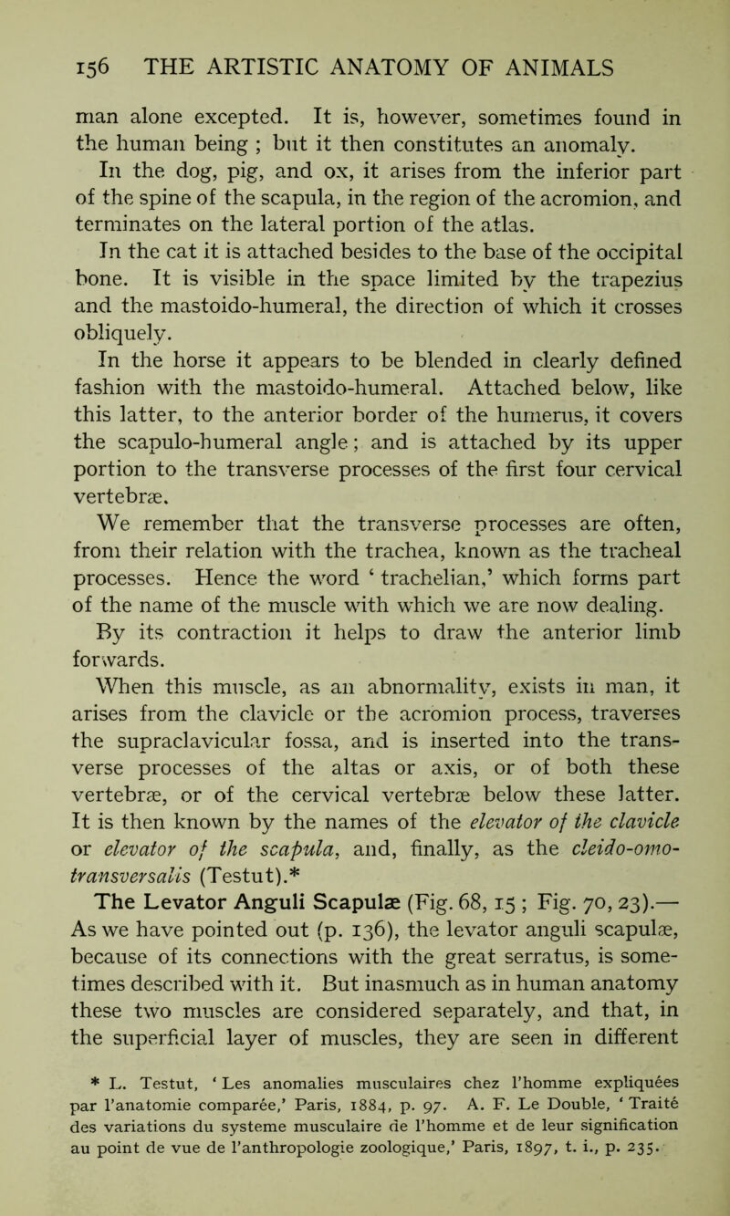 man alone excepted. It is, however, sometimes found in the human being ; but it then constitutes an anomaly. In the dog, pig, and ox, it arises from the inferior part of the spine of the scapula, in the region of the acromion, and terminates on the lateral portion of the atlas. In the cat it is attached besides to the base of the occipital bone. It is visible in the space limited by the trapezius and the mastoido-humeral, the direction of which it crosses obliquely. In the horse it appears to be blended in clearly defined fashion with the mastoido-humeral. Attached below, like this latter, to the anterior border of the humerus, it covers the scapulo-humeral angle ; and is attached by its upper portion to the transverse processes of the first four cervical vertebrae. We remember that the transverse processes are often, from their relation with the trachea, known as the tracheal processes. Hence the word 4 trachelian,’ which forms part of the name of the muscle with which we are now dealing. By its contraction it helps to draw the anterior limb forwards. When this muscle, as an abnormality, exists in man, it arises from the clavicle or the acromion process, traverses the supraclavicular fossa, and is inserted into the trans- verse processes of the altas or axis, or of both these vertebrae, or of the cervical vertebrae below these latter. It is then known by the names of the elevator of the clavicle or elevator of the scapula, and, finally, as the cleido-omo- transversalis (Testut).* The Levator Anguli Scapulae (Fig. 68,15 ; Fig. 70, 23).— As we have pointed out (p. 136), the levator anguli scapulae, because of its connections with the great serratus, is some- times described with it. But inasmuch as in human anatomy these two muscles are considered separately, and that, in the superficial layer of muscles, they are seen in different * L. Testut, ‘ Les anomalies musculaires chez l’homme expliquées par l’anatomie comparée,’ Paris, 1884, p. 97. A. F. Le Double, ‘Traité des variations du système musculaire de l’homme et de leur signification au point de vue de l’anthropologie zoologique,’ Paris, 1897, t. i., p. 235.