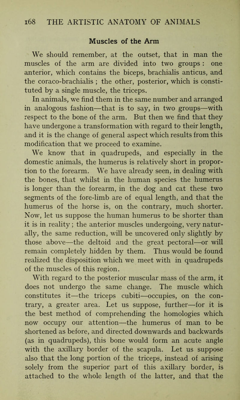 Muscles of the Arm We should remember, at the outset, that in man the muscles of the arm are divided into two groups : one anterior, which contains the biceps, brachialis anticus, and the coraco-brachialis ; the other, posterior, which is consti- tuted by a single muscle, the triceps. In animals, we find them in the same number and arranged in analogous fashion—that is to say, in two groups—with respect to the bone of the arm. But then we find that they have undergone a transformation with regard to their length, and it is the change of general aspect which results from this modification that we proceed to examine. We know that in quadrupeds, and especially in the domestic animals, the humerus is relatively short in propor- tion to the forearm. We have already seen, in dealing with the bones, that whilst in the human species the humerus is longer than the forearm, in the dog and cat these two segments of the fore-limb are of equal length, and that the humerus of the horse is, on the contrary, much shorter. Now, let us suppose the human humerus to be shorter than it is in reality ; the anterior muscles undergoing, very natur- ally, the same reduction, will be uncovered only slightly by those above—the deltoid and the great pectoral—or will remain completely hidden by them. Thus would be found realized the disposition which we meet with in quadrupeds of the muscles of this region. With regard to the posterior muscular mass of the arm, it does not undergo the same change. The muscle which constitutes it—the triceps cubiti—occupies, on the con- trary, a greater area. Let us suppose, further—for it is the best method of comprehending the homologies which now occupy our attention—the humerus of man to be shortened as before, and directed downwards and backwards (as in quadrupeds), this bone would form an acute angle with the axillary border of the scapula. Let us suppose also that the long portion of the triceps, instead of arising solely from the superior part of this axillary border, is attached to the whole length of the latter, and that the