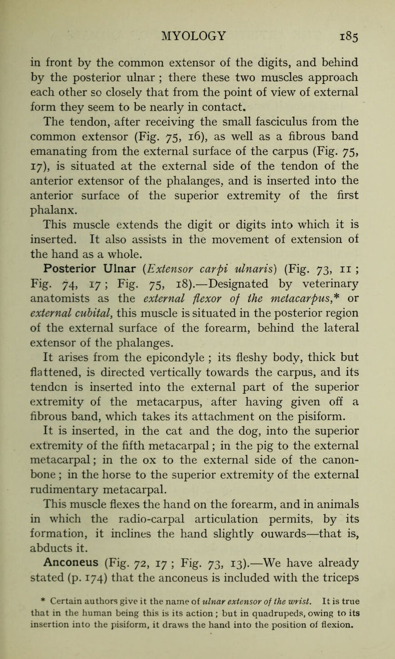 in front by the common extensor of the digits, and behind by the posterior ulnar ; there these two muscles approach each other so closely that from the point of view of external form they seem to be nearly in contact. The tendon, after receiving the small fasciculus from the common extensor (Fig. 75, 16), as well as a fibrous band emanating from the external surface of the carpus (Fig. 75, 17), is situated at the external side of the tendon of the anterior extensor of the phalanges, and is inserted into the anterior surface of the superior extremity of the first phalanx. This muscle extends the digit or digits into which it is inserted. It also assists in the movement of extension of the hand as a whole. Posterior Ulnar (Extensor carpi ulnaris) (Fig. 73, 11 ; Fig. 74, 17 ; Fig. 75, 18).—Designated by veterinary anatomists as the external flexor of the metacarpus,* or external cubital, this muscle is situated in the posterior region of the external surface of the forearm, behind the lateral extensor of the phalanges. It arises from the epicondyle ; its fleshy body, thick but flattened, is directed vertically towards the carpus, and its tendcn is inserted into the external part of the superior extremity of the metacarpus, after having given off a fibrous band, which takes its attachment on the pisiform. It is inserted, in the cat and the dog, into the superior extremity of the fifth metacarpal ; in the pig to the external metacarpal ; in the ox to the external side of the canon- bone ; in the horse to the superior extremity of the external rudimentary metacarpal. This muscle flexes the hand on the forearm, and in animals in which the radio-carpal articulation permits, by its formation, it inclines the hand slightly ouwards—that is, abducts it. Anconeus (Fig. 72, 17 ; Fig. 73, 13).—We have already stated (p. 174) that the anconeus is included with the triceps * Certain authors give it the name of ulnar extensor of the wrist. It is true that in the human being this is its action ; but in quadrupeds, owing to its insertion into the pisiform, it draws the hand into the position of flexion.
