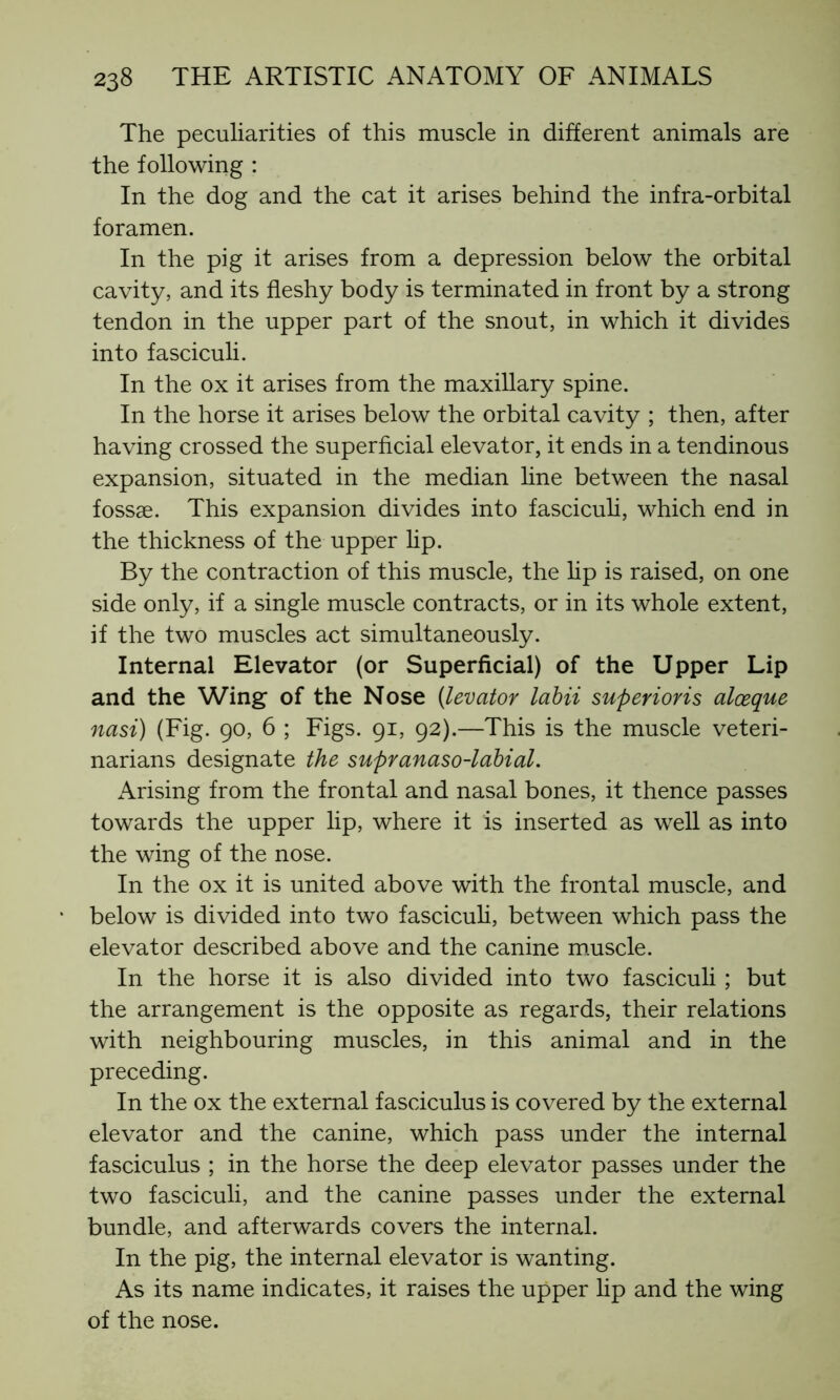 The peculiarities of this muscle in different animals are the following : In the dog and the cat it arises behind the infra-orbital foramen. In the pig it arises from a depression below the orbital cavity, and its fleshy body is terminated in front by a strong tendon in the upper part of the snout, in which it divides into fasciculi. In the ox it arises from the maxillary spine. In the horse it arises below the orbital cavity ; then, after having crossed the superficial elevator, it ends in a tendinous expansion, situated in the median line between the nasal fossae. This expansion divides into fasciculi, which end in the thickness of the upper lip. By the contraction of this muscle, the lip is raised, on one side only, if a single muscle contracts, or in its whole extent, if the two muscles act simultaneously. Internal Elevator (or Superficial) of the Upper Lip and the Wing of the Nose (levator labii superioris alœque nasi) (Fig. 90, 6 ; Figs. 91, 92).—This is the muscle veteri- narians designate the supranaso-labial. Arising from the frontal and nasal bones, it thence passes towards the upper lip, where it is inserted as well as into the wing of the nose. In the ox it is united above with the frontal muscle, and below is divided into two fasciculi, between which pass the elevator described above and the canine muscle. In the horse it is also divided into two fasciculi ; but the arrangement is the opposite as regards, their relations with neighbouring muscles, in this animal and in the preceding. In the ox the external fasciculus is covered by the external elevator and the canine, which pass under the internal fasciculus ; in the horse the deep elevator passes under the two fasciculi, and the canine passes under the external bundle, and afterwards covers the internal. In the pig, the internal elevator is wanting. As its name indicates, it raises the upper lip and the wing of the nose.