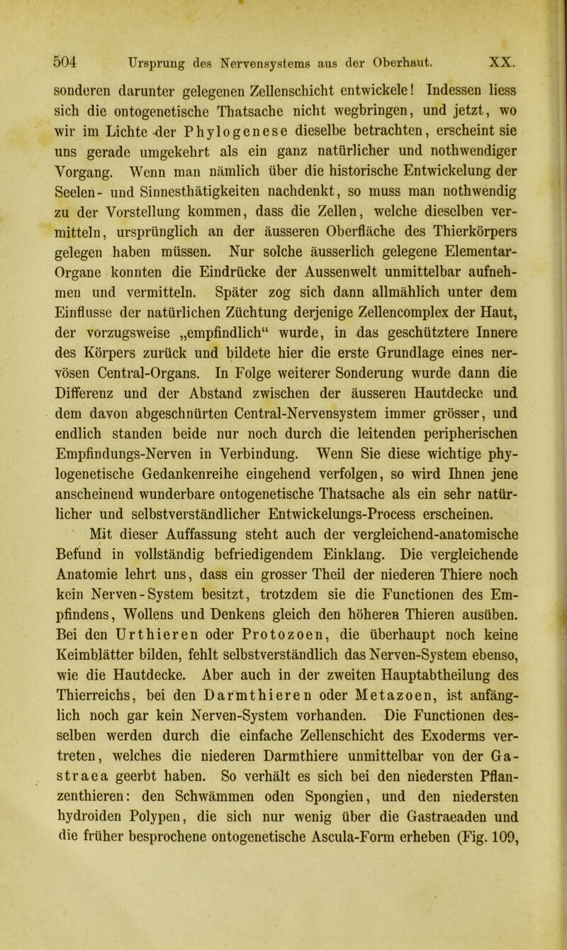 sonderen darunter gelegenen Zellenschicht entwickele! Indessen liess sich die ontogenetische Thatsache nicht wegbringen, und jetzt, wo wir im Lichte-der Phylogenese dieselbe betrachten, erscheint sie uns gerade umgekehrt als ein ganz natürlicher und nothwendiger Vorgang. Wenn man nämlich über die historische Entwickelung der Seelen- und Sinnesthätigkeiten nachdenkt, so muss man nothwendig zu der Vorstellung kommen, dass die Zellen, welche dieselben ver- mitteln, ursprünglich an der äusseren Oberfläche des Thierkörpers gelegen haben müssen. Nur solche äusserlich gelegene Elementar- Organe konnten die Eindrücke der Aussenwelt unmittelbar aufneh- men und vermitteln. Später zog sich dann allmählich unter dem Einflüsse der natürlichen Züchtung derjenige Zellencomplex der Haut, der vorzugsweise „empfindlich“ wurde, in das geschütztere Innere des Körpers zurück und bildete hier die erste Grundlage eines ner- vösen Central-Organs. In Folge weiterer Sonderung wurde dann die Differenz und der Abstand zwischen der äusseren Hautdecke und dem davon abgeschnürten Central-Nervensystem immer grösser, und endlich standen beide nur noch durch die leitenden peripherischen Empfindungs-Nerven in Verbindung. Wenn Sie diese wichtige phy- logenetische Gedankenreihe eingehend verfolgen, so wird Ihnen jene anscheinend wunderbare ontogenetische Thatsache als ein sehr natür- licher und selbstverständlicher Entwickelungs-Process erscheinen. Mit dieser Auffassung steht auch der vergleichend-anatomische Befund in vollständig befriedigendem Einklang. Die vergleichende Anatomie lehrt uns, dass ein grosser Theil der niederen Thiere noch kein Nerven-System besitzt, trotzdem sie die Functionen des Em- pfindens , Wollens und Denkens gleich den höheren Thieren ausüben. Bei den Urthieren oder Protozoen, die überhaupt noch keine Keimblätter bilden, fehlt selbstverständlich das Nerven-System ebenso, wie die Hautdecke. Aber auch in der zweiten Hauptabtheilung des Thierreichs, bei den Darmthieren oder Metazoen, ist anfäng- lich noch gar kein Nerven-System vorhanden. Die Functionen des- selben werden durch die einfache Zellenschicht des Exoderms ver- treten, welches die niederen Darmthiere unmittelbar von der Ga- straea geerbt haben. So verhält es sich bei den niedersten Pflan- zenthieren: den Schwämmen öden Spongien, und den niedersten hydroiden Polypen, die sich nur wenig über die Gastraeaden und die früher besprochene ontogenetische Ascula-Form erheben (Fig. 109,