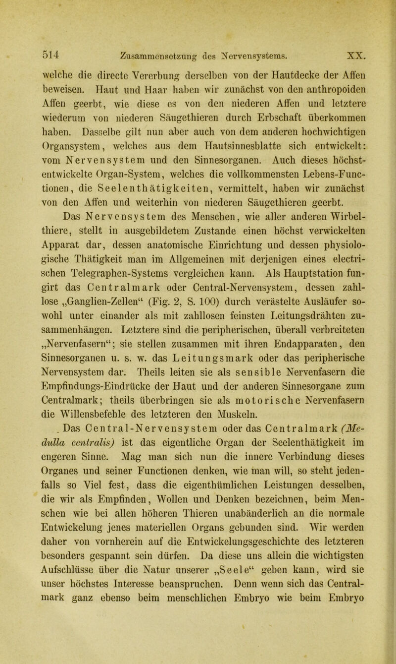 welche die directe Vererbung derselben von der Hautdecke der Affen beweisen. Haut und Haar haben wir zunächst von den anthropoiden Affen geerbt, wie diese cs von den niederen Affen und letztere wiederum von niederen Säugethieren durch Erbschaft überkommen haben. Dasselbe gilt nun aber auch von dem anderen hochwichtigen Organsystem, welches aus dem Hautsinnesblatte sich entwickelt: vom Nervensystem und den Sinnesorganen. Auch dieses höchst- entwickelte Organ-System, welches die vollkommensten Lebens-Func- tionen, die Seelenthätigkeiten, vermittelt, haben wir zunächst von den Affen und weiterhin von niederen Säugethieren geerbt. Das Nervensystem des Menschen, wie aller anderen Wirbel- thiere, stellt in ausgebildetem Zustande einen höchst verwickelten Apparat dar, dessen anatomische Einrichtung und dessen physiolo- gische Thätigkeit man im Allgemeinen mit derjenigen eines electri- schen Telegraphen-Systems vergleichen kann. Als Hauptstation fun- girt das Centralmark oder Central-Nervensystem, dessen zahl- lose „Ganglien-Zellen“ (Fig. 2, S. 100) durch verästelte Ausläufer so- wohl unter einander als mit zahllosen feinsten Leitungsdrähten Zu- sammenhängen. Letztere sind die peripherischen, überall verbreiteten „Nervenfasern“; sie stellen zusammen mit ihren Endapparaten, den Sinnesorganen u. s. w. das Leitungsmark oder das peripherische Nervensystem dar. Theils leiten sie als sensible Nervenfasern die Empfindungs-Eindrücke der Haut und der anderen Sinnesorgane zum Centralmark; theils überbringen sie als motorische Nervenfasern die Willensbefehle des letzteren den Muskeln. .Das Central-Nervensystem oder das Centralmark (Me- dulla centralis) ist das eigentliche Organ der Seelenthätigkeit im engeren Sinne. Mag man sich nun die innere Verbindung dieses Organes und seiner Functionen denken, wie man will, so steht jeden- falls so Viel fest, dass die eigenthümlichen Leistungen desselben, die wir als Empfinden, Wollen und Denken bezeichnen, beim Men- schen wie bei allen höheren Thieren unabänderlich an die normale Entwickelung jenes materiellen Organs gebunden sind. Wir werden daher von vornherein auf die Entwickelungsgeschichte des letzteren besonders gespannt sein dürfen. Da diese uns allein die wichtigsten Aufschlüsse über die Natur unserer „Seele“ geben kann, wird sie unser höchstes Interesse beanspruchen. Denn wenn sich das Central- mark ganz ebenso beim menschlichen Embryo wie beim Embryo