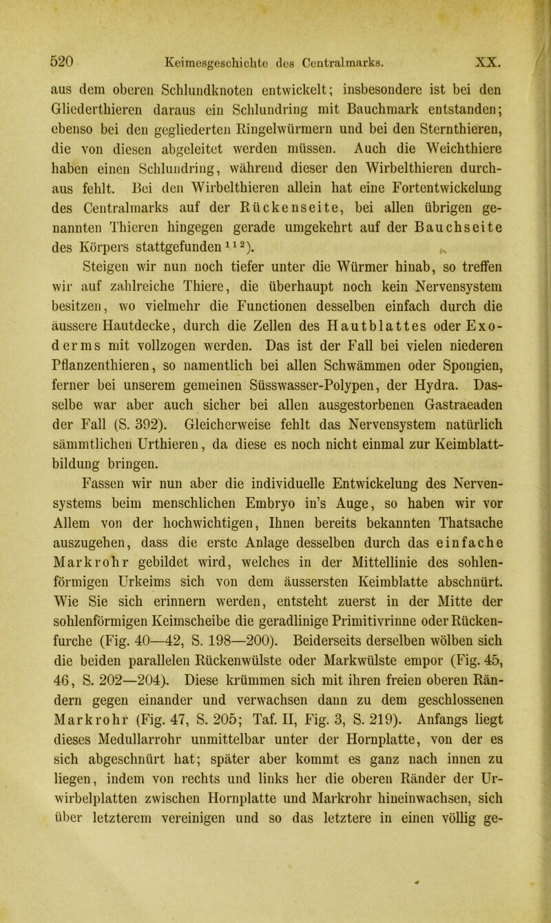 aus dem oberen Schlundknoten entwickelt; insbesondere ist bei den Gliedertkieren daraus ein Schlundring mit Bauchmark entstanden; ebenso bei den gegliederten Ringelwürmern und bei den Sternthieren, die von diesen abgeleitet werden müssen. Auch die Weichthiere haben einen Schlundring, während dieser den Wirbelthieren durch- aus fehlt. Bei den Wirbelthieren allein hat eine Fortentwickelung des Centralmarks auf der Rückenseite, bei allen übrigen ge- nannten Thieren hingegen gerade umgekehrt auf der Bauchseite des Körpers stattgefunden112). Steigen wir nun noch tiefer unter die Würmer hinab, so treffen wir auf zahlreiche Thiere, die überhaupt noch kein Nervensystem besitzen, wo vielmehr die Functionen desselben einfach durch die äussere Hautdecke, durch die Zellen des Hautblattes oder Exo- der ms mit vollzogen werden. Das ist der Fall bei vielen niederen Pflanzenthieren, so namentlich bei allen Schwämmen oder Spongien, ferner bei unserem gemeinen Süsswasser-Polypen, der Hydra. Das- selbe war aber auch sicher bei allen ausgestorbenen Gastraeaden der Fall (S. 392). Gleicherweise fehlt das Nervensystem natürlich sämmtlichen Urthieren, da diese es noch nicht einmal zur Keimblatt- bildung bringen. Fassen wir nun aber die individuelle Entwickelung des Nerven- systems beim menschlichen Embryo in’s Auge, so haben wir vor Allem von der hochwichtigen, Ihnen bereits bekannten Thatsache auszugehen, dass die erste Anlage desselben durch das einfache Mark rohr gebildet wird, welches in der Mittellinie des sohlen- förmigen Urkeims sich von dem äussersten Keimblatte abschnürt. Wie Sie sich erinnern werden, entsteht zuerst in der Mitte der sohlenförmigen Keimscheibe die geradlinige Primitivrinne oder Rücken- furche (Fig. 40—42, S. 198—200). Beiderseits derselben wölben sich die beiden parallelen Rückenwülste oder Markwülste empor (Fig. 45, 46, S. 202—204). Diese krümmen sich mit ihren freien oberen Rän- dern gegen einander und verwachsen dann zu dem geschlossenen Mark rohr (Fig. 47, S. 205; Taf. II, Fig. 3, S. 219). Anfangs liegt dieses Medullarrohr unmittelbar unter der Hornplatte, von der es sich abgeschnürt hat; später aber kommt es ganz nach innen zu liegen, indem von rechts und links her die oberen Ränder der Ur- wirbelplatten zwischen Hornplatte und Markrohr hineinwachsen, sich über letzterem vereinigen und so das letztere in einen völlig ge-