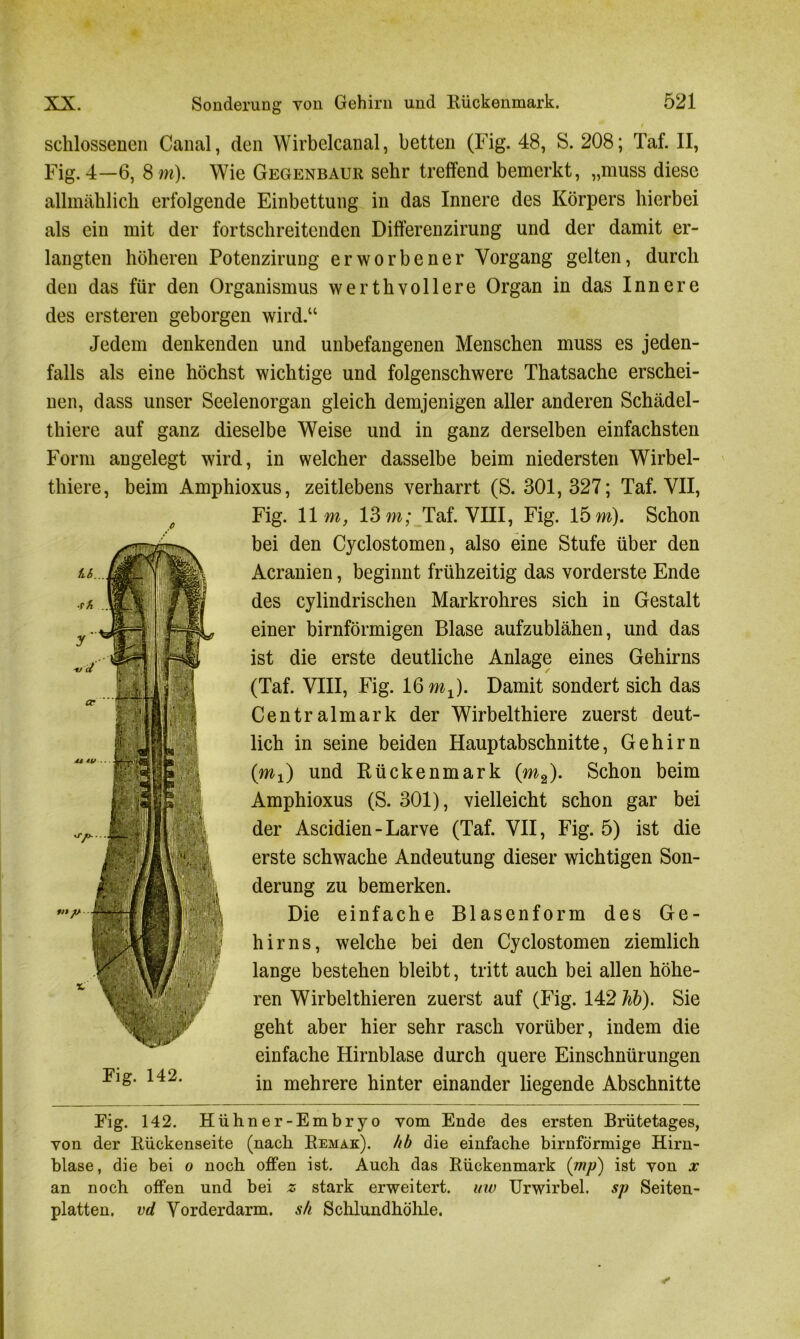 schlossenen Canal, den Wirbelcanal, betten (Fig. 48, S. 208; Taf. II, Fig. 4—6, 8 m). Wie Gegenbaur sehr treffend bemerkt, „muss diese allmählich erfolgende Einbettung in das Innere des Körpers hierbei als ein mit der fortschreitenden Differenzirung und der damit er- langten höheren Potenzirung erworbener Vorgang gelten, durch den das für den Organismus werthvollere Organ in das Innere des ersteren geborgen wird.“ Jedem denkenden und unbefangenen Menschen muss es jeden- falls als eine höchst wichtige und folgenschwere Thatsache erschei- nen, dass unser Seelenorgan gleich demjenigen aller anderen Schädel- thiere auf ganz dieselbe Weise und in ganz derselben einfachsten Form angelegt wird, in welcher dasselbe beim niedersten Wirbel- thiere, beim Amphioxus, zeitlebens verharrt (S. 301,327; Taf. VII, Fig. 11 m, 13 m; Taf. VIII, Fig. 15 m). Schon bei den Cyclostomen, also eine Stufe über den Acranien, beginnt frühzeitig das vorderste Ende des cylindrischen Markrohres sich in Gestalt einer bimförmigen Blase aufzublähen, und das ist die erste deutliche Anlage eines Gehirns (Taf. VIII, Fig. 16 mx). Damit sondert sich das Centralmark der Wirbelthiere zuerst deut- lich in seine beiden Hauptabschnitte, Gehirn (mx) und Rückenmark (m2). Schon beim Amphioxus (S. 301), vielleicht schon gar bei der Ascidien - Larve (Taf. VII, Fig. 5) ist die erste schwache Andeutung dieser wichtigen Son- derung zu bemerken. Die einfache Blasenform des Ge- hirns, welche bei den Cyclostomen ziemlich lange bestehen bleibt, tritt auch bei allen höhe- ren Wirbelthieren zuerst auf (Fig. 142 Jib). Sie geht aber hier sehr rasch vorüber, indem die einfache Hirnblase durch quere Einschnürungen in mehrere hinter einander liegende Abschnitte Fig. 142. Hühner-Embryo vom Ende des ersten Brütetages, von der Bückenseite (nach Bemak). hb die einfache bimförmige Hirn- blase, die bei o noch offen ist. Auch das Bückenmark (mp) ist von x an noch offen und bei z stark erweitert, uw Urwirbel. sp Seiten- platten. vd Vorderdarm, sh Schlundhöhle.
