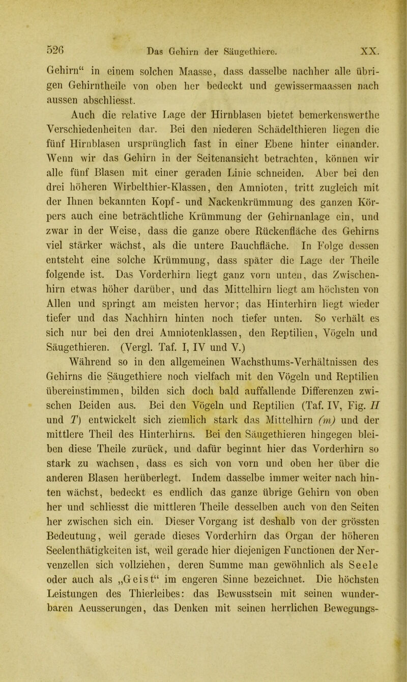 Gehirn“ in einem solchen Maasse, dass dassell)e nachher alle übri- gen Gehirntheile von oben her bedeckt und gewissermaassen nach aussen abschliesst. Auch die relative Lage der Hirnblasen bietet bemerkcnswerthe Verschiedenheiten dar. Bei den niederen Schädelthieren liegen die fünf Hirnblasen ursprünglich fast in einer Ebene hinter einander. Wenn wir das Gehirn in der Seitenansicht betrachten, können wir alle fünf Blasen mit einer geraden Linie schneiden. Aber bei den drei höheren Wirbelthier-Klassen, den Amnioten, tritt zugleich mit der Ihnen bekannten Kopf- und Nackenkrümmung des ganzen Kör- pers auch eine beträchtliche Krümmung der Gehirnanlage ein, und zwar in der Weise, dass die ganze obere Rückenfläche des Gehirns viel stärker wächst, als die untere Bauchfläche. In Folge dessen entsteht eine solche Krümmung, dass später die Lage der Theile folgende ist. Das Vorderhirn liegt ganz vorn unten, das Zwischen- hirn etwas höher darüber, und das Mittelhirn liegt am höchsten von Allen und springt am meisten hervor; das Hinterhirn liegt wieder tiefer und das Nachhirn hinten noch tiefer unten. So verhält es sich nur bei den drei Amniotenklassen, den Reptilien, Vögeln und Säugethieren. (Vergl. Taf. I, IV und V.) Während so in den allgemeinen Wachsthums-Verhältnissen des Gehirns die Säugethiere noch vielfach mit den Vögeln und Reptilien übereinstimmen, bilden sich doch bald auffallende Differenzen zwi- schen Beiden aus. Bei den Vögeln und Reptilien (Taf. IV, Fig. II und T) entwickelt sich ziemlich stark das Mittelhirn (in) und der mittlere Theil des Hinterhirns. Bei den Säugethieren hingegen blei- ben diese Theile zurück, und dafür beginnt hier das Vorderhirn so stark zu wachsen, dass es sich von vorn und oben her über die anderen Blasen herüberlegt. Indem dasselbe immer weiter nach hin- ten wächst, bedeckt es endlich das ganze übrige Gehirn von oben her und schliesst die mittleren Theile desselben auch von den Seiten her zwischen sich ein. Dieser Vorgang ist deshalb von der grössten Bedeutung, weil gerade dieses Vorderhirn das Organ der höheren Seelenthätigkeiten ist, weil gerade hier diejenigen Functionen der Ner- venzellen sich vollziehen, deren Summe man gewöhnlich als Seele oder auch als „Geist“ im engeren Sinne bezeichnet. Die höchsten Leistungen des Thierleibes: das Bewusstsein mit seinen wunder- baren Aeusserungen, das Denken mit seinen herrlichen Bewegungs-