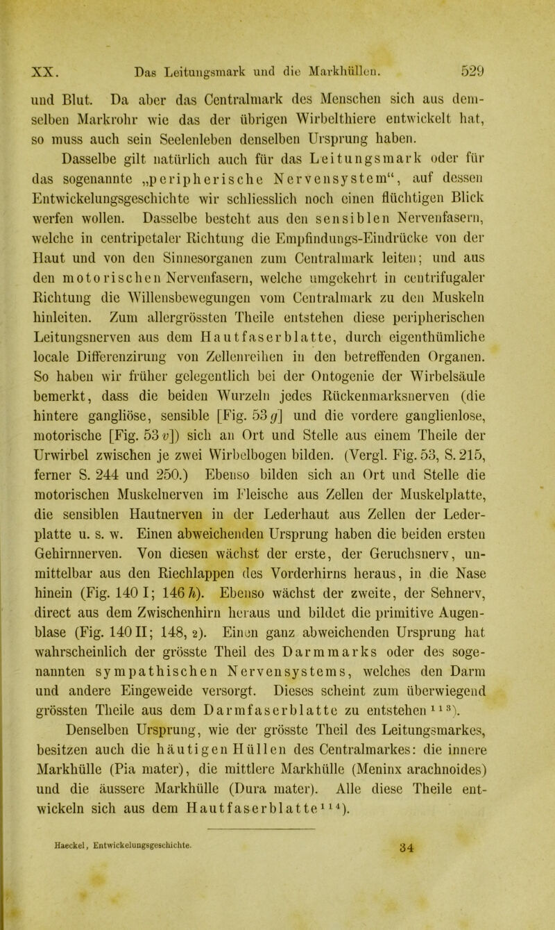 und Blut. Da aber das Centralmark des Menschen sich aus dem- selben Markrohr wie das der übrigen Wirbelthiere entwickelt hat, so muss auch sein Seelenleben denselben Ursprung haben. Dasselbe gilt natürlich auch für das Leitungsmark oder für das sogenannte „peripherische Nervensystem“, auf dessen Entwickelungsgeschichte wir schliesslich noch einen flüchtigen Blick werfen wollen. Dasselbe besteht aus den sensiblen Nervenfasern, welche in centripetaler Richtung die Empfindungs-Eindrücke von der Haut und von den Sinnesorganen zum Centralmark leiten; und aus den motorischen Nervenfasern, welche umgekehrt in centrifugaler Richtung die Willensbewegungen vom Centralmark zu den Muskeln hinleiten. Zum allergrössten Theile entstehen diese peripherischen Leitungsnerven aus dem Hautfaser blatte, durch eigenthümliche locale Differenzirung von Zellenreihen in den betreffenden Organen. So haben wir früher gelegentlich bei der Ontogenie der Wirbelsäule bemerkt, dass die beiden Wurzeln jedes Rückenmarksnerven (die hintere gangliöse, sensible [Fig. 53 g] und die vordere ganglienlose, motorische [Fig. 53 v]) sich an Ort und Stelle aus einem Theile der Urwirbel zwischen je zwei Wirbelbogen bilden. (Vergl. Fig. 53, S. 215, ferner S. 244 und 250.) Ebenso bilden sich an Ort und Stelle die motorischen Muskclnerven im Fleische aus Zellen der Muskelplatte, die sensiblen Hautnerven in der Lederhaut aus Zellen der Leder- platte u. s. w. Einen abweichenden Ursprung haben die beiden ersten Gehirnnerven. Von diesen wächst der erste, der Geruchsnerv, un- mittelbar aus den Riechlappen des Vorderhirns heraus, in die Nase hinein (Fig. 140 1; 146 Ä). Ebenso wächst der zweite, der Sehnerv, direct aus dem Zwischenhirn heraus und bildet die primitive Augen- blase (Fig. 140II; 148,2). Einen ganz abweichenden Ursprung hat wahrscheinlich der grösste Theil des Darm mar ks oder des soge- nannten sympathischen Nervensystems, welches den Darm und andere Eingeweide versorgt. Dieses scheint zum überwiegend grössten Theile aus dem Darmfaser blatte zu entstehen113). Denselben Ursprung, wie der grösste Theil des Leitungsmarkes, besitzen auch die häutigen Hüllen des Centralmarkes: die innere Markhülle (Pia mater), die mittlere Markhülle (Meninx arachnoides) und die äussere Markhülle (Dura mater). Alle diese Theile ent- wickeln sich aus dem Hautfaserblatte114). Haeckel, Entwickelungsgeschichte. 34