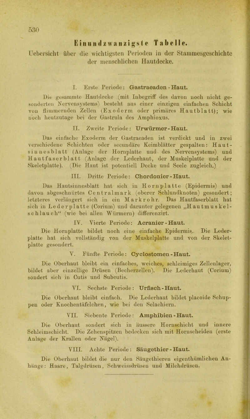 E i n ii li il / w a ii z i g s t c T a h e 11 e. Uebersicht über die wichtigsten Perioden in der Stammesgeschichte der menschlichen Hautdecke. I. Erste Periode: G-astraeaden - Haut. Die gesummte Hautdecke (mit Inbegriff des davon noch nicht ge- sonderten Nervensystems) besteht aus einer einzigen einfachen Schicht von flimmernden Zellen (Exoderm oder primäres Hautblatt); wie noch heutzutage bei der Gastrula des Amphioxus. II. Zweite Periode: Urwürmer-Haut. Das einfache Exoderm der Gastraeaden ist verdickt und in zwei verschiedene Schichten oder secundäre Keimblätter gespalten: Haut- sin nesblatt (Anlage der Hornplatte und des Nervensystems) und Hautfaserblatt (Anlage der Lederhaut, der Muskelplatte und der Skeletplatte). (Die Haut ist potentiell Decke und Seele zugleich.) III. Dritte Periode: Chordonier - Haut. Das Hautsinnesblatt hat sich in Hornplatte (Epidermis) und davon abgeschnürtes Centralmark (oberer Schlundknoten) gesondert; letzteres verlängert sich in ein Markrohr. Das Hautfaserblatt hat sich in Le der platte (Corium) und darunter gelegenen „Hautmuskel- schlauch“ (wie bei allen Würmern) differenzirt. IV. Vierte Periode: Aeranier - Haut. Die Hornplatte bildet noch eine einfache Epidermis. Die Leder- platte hat sich vollständig von der Muskelplatte und von der Skelet- platte gesondert. V. Fünfte Periode: Cyelostomen-Haut. Die Oberhaut bleibt ein einfaches, weiches, schleimiges Zellenlager, bildet aber einzellige Drüsen (Becherzellen). Die Lederhaut (Corium) sondert sich in Cutis und Subcutis. VI. Sechste Periode: Urfisch-Haut. Die Oberhaut bleibt einfach. Die Lederhaut bildet placoide Schup- pen oder Knochentäfelchen, wie bei den Selachiern. VII. Siebente Periode: Amphibien - Haut. Die Oberhaut sondert sich in äussere Hornschicht und innere Schleimschicht. Die Zehenspitzen bedecken sich mit Hornscheiden (erste Anlage der Krallen oder Nägel). VIII. Achte Periode : Säugethier - Haut. Die Oberhaut bildet die nur den Säugethieren eigenthümlicheu An- hänge : Haare, Talgdrüsen, Schweissdrüsen und Milchdrüsen.