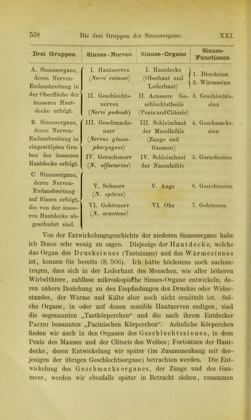 Drei Gruppen Sinnes - Nerven Sinnes - Organe I Sinnes- Functionen A. Sinnesorgane, I. Hautnerven I. Hautdecke deren Nerven- (Nervi cutanei) (Oberhaut und 1. Drucksinn 2. Wärmesinn Endausbreitung in Lederhaut) ) der Oberfläche der II. Geschlechts- II. Aeussere Ge- 3. Geschlechts- äusseren Haut- nerven schlechtstheile sinn decke erfolgt. (Nervi pudendi) (Penis und Clitoris) B. Sinnesorgane, III. Geschmacks- III. Schleimhaut 4. Geschmacks- deren Nerven- nerv der Mundhöhle sinn Endausbreitung in (Nervus glosso- (Zunge und eingestülpten Gru- pharyngeus) Gaumen) ben der äusseren IV. Geruchsnerv IV. Schleimhaut 5. Geruchssinn Hautdecke erfolgt. (N. olfactorius) der Nasenhöhle C. Sinnesorgane, r deren Nerven- V. Sehnerv V. Auge 6. Gesichtssinn Endausbreitung (N. opticus) auf Blasen erfolgt, \ die von der äusse- VI. Gehörnerv VI. Ohr 7. Gehörsinn reu Hautdecke ab- (N. acusticus) geschnürt sind. Von der Entwickelungsgeschichte der niederen Sinnesorgane habe ich Ihnen sehr wenig zu sagen. Diejenige der Hautdecke, welche das Organ des Drucksinnes (Tastsinnes) und des Wärmesinnes ist, kennen Sie bereits (S. 506). Ich hätte höchstens noch nachzu- tragen, dass sich in der Lederhaut des Menschen, wie aller höheren Wirbelthiere, zahllose mikroskopische Sinnes-Organe entwickeln, de- ren nähere Beziehung zu den Empfindungen des Druckes oder Wider- standes, der Wärme und Kälte aber noch nicht ermittelt ist. Sol- che Organe, in oder auf denen sensible Hautnerven endigen, sind die sogenannten „Tastkörperchen“ und die nach ihrem Entdecker Pacini benannten „Pacinischen Körperchen“. Aehnliche Körperchen finden wir auch in den Organen des Geschlechtssinnes, in dem Penis des Mannes und der Clitoris des Weibes; Fortsätzen der Haut- decke, deren Entwickelung wir später (im Zusammenhang mit der- jenigen der übrigen Geschlechtsorgane) betrachten werden. Die Ent- wickelung des Geschmacks Organes, der Zunge und des Gau- mens, werden wir ebenfalls später in Betracht ziehen, zusammen