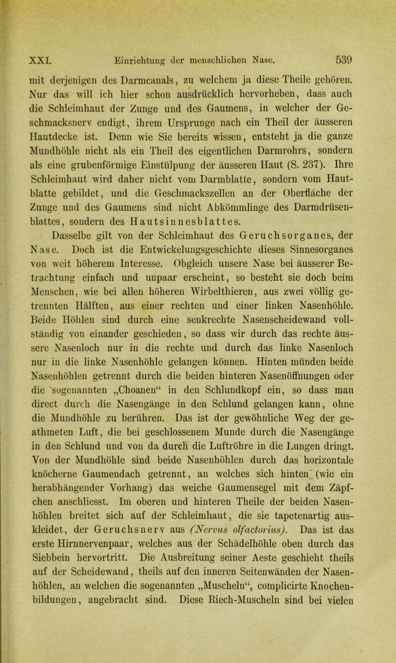 mit derjenigen des Darmcanals, zu welchem ja diese Theile gehören. Nur das will ich hier schon ausdrücklich hervorheben, dass auch die Schleimhaut der Zunge und des Gaumens, in welcher der Gc- schmacksnerv endigt, ihrem Ursprünge nach ein Theil der äusseren Hautdecke ist. Denn wie Sie bereits wissen, entsteht ja die ganze Mundhöhle nicht als ein Theil des eigentlichen Darmrohrs, sondern als eine grubenförmige Einstülpung der äusseren Haut (S. 237). Ihre Schleimhaut wird daher nicht vom Darmblatte, sondern vom Haut- blatte gebildet, und die Geschmackszellen an der Oberfläche der Zunge und des Gaumens sind nicht Abkömmlinge des Darmdrüsen- blattes, sondern des Hautsinnesblattes. Dasselbe gilt von der Schleimhaut des Geruchsorganes, der Nase. Doch ist die Entwickelungsgeschichte dieses Sinnesorganes von weit höherem Interesse. Obgleich unsere Nase bei äusserer Be- trachtung einfach und unpaar erscheint, so besteht sie doch beim Menschen, wie bei allen höheren Wirbelthieren, aus zwei völlig ge- trennten Hälften, aus einer rechten und einer linken Nasenhöhle. Beide Höhlen sind durch eine senkrechte Nasenscheidewand voll- ständig von einander geschieden, so dass wir durch das rechte äus- sere Nasenloch nur in die rechte und durch das linke Nasenloch nur in die linke Nasenhöhle gelangen können. Hinten münden beide Nasenhöhlen getrennt durch die beiden hinteren Nasenöffnungen oder die sogenannten „Choanen“ in den Schlundkopf ein, so dass man direct durch die Nasengänge in den Schlund gelangen kann, ohne die Mundhöhle zu berühren. Das ist der gewöhnliche Weg der ge- athmeten Luft, die bei geschlossenem Munde durch die Nasengänge in den Schlund und von da durch die Luftröhre in die Lungen dringt. Von der Mundhöhle sind beide Nasenhöhlen durch das horizontale knöcherne Gaumendach getrennt, an welches sich hinten' (wie ein herabhängender Vorhang) das weiche Gaumensegel mit dem Zäpf- chen anschliesst. Im oberen und hinteren Theile der beiden Nasen- höhlen breitet sich auf der Schleimhaut, die sie tapetenartig aus- kleidet, der Geruchsnerv aus (Nervus olfactorius). Das ist das erste Hirnnervenpaar, welches aus der Schädelhöhle oben durch das Siebbein hervortritt. Die Ausbreitung seiner Aeste geschieht theils auf der Scheidewand, theils auf den inneren Seiten wänden der Nasen- höhlen, an welchen die sogenannten „Muscheln“, complicirte Knochen- bildungen, angebracht sind. Diese Riech-Muscheln sind bei vielen