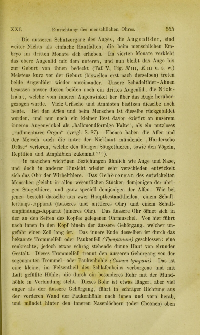 Die äusseren Schutzorgane des Auges, die Augenlider, sind weiter Nichts als einfache Hautfalten, die beim menschlichen Em- bryo im dritten Monate sich erheben. Im vierten Monate verklebt das obere Augenlid mit dem unteren, und nun bleibt das Auge bis zur Geburt von ihnen bedeckt (Taf. Y, Fig. üfm, Km u. s. w.) Meistens kurz vor der Geburt (bisweilen erst nach derselben) treten beide Augenlider wieder auseinander. Unsere Schädelthier-Ahnen besassen ausser diesen beiden noch ein drittes Augenlid, die Nick- haut, welche vom inneren Augenwinkel her über das Auge herüber- gezogen wurde. Viele Urfische und Amniotcn besitzen dieselbe noch heute. Bei den Affen und beim Menschen ist dieselbe rückgebildet worden, und nur noch ein kleiner Rest davon existirt an unserem inneren Augenwinkel als „halbmondförmige Falte“, als ein nutzloses „rudimentäres Organ“ (vergl. S. 87). Ebenso haben die Affen und der Mensch auch die unter der Nickliaut mündende „Hardersche Drüse“ verloren, welche den übrigen Säugethieren, sowie den Vögeln, Reptilien und Amphibien zukommt118). In manchen wichtigen Beziehungen ähnlich wie Auge und Nase, und doch in anderer Hinsicht wieder sehr verschieden entwickelt sich das Ohr der Wirbelthiere. Das Gehörorgan des entwickelten Menschen gleicht in allen wesentlichen Stücken demjenigen der übri- gen Säugethiere, und ganz speciell demjenigen der Affen. Wie bei jenen besteht dasselbe aus zwei Hauptbestandtheilen, einem Schall- leitungs-Apparat (äusseres und mittleres Ohr) und einem Schall- empfindungs-Apparat (inneres Ohr). Das äussere Ohr öffnet sich in der an den Seiten des Kopfes gelegenen Ohrmuschel. Von hier führt nach innen in den Kopf hinein der äussere Gehörgang, welcher un- gefähr einen Zoll lang ist. Das innere Ende desselben ist durch das bekannte Trommelfell oder Paukenfell (Tympanum) geschlossen: eine senkrechte, jedoch etwas schräg stehende dünne Haut von eirunder Gestalt. Dieses Trommelfell trennt den äusseren Gehörgang von der sogenannten Trommel - oder Paukenhöhle (Cavum tympani). Das ist eine kleine, im Felsentheil des Schläfenbeins verborgene und mit Luft gefüllte Höhle, die durch ein besonderes Rohr mit der Mund- höhle in Verbindung steht. Dieses Rohr ist etwas länger, aber viel enger als der äussere Gehörgang, führt in schräger Richtung aus der vorderen Wand der Paukenhöhle nach innen und vorn herab, und mündet hinter den inneren Nasenlöchern (oder Choanen) oben