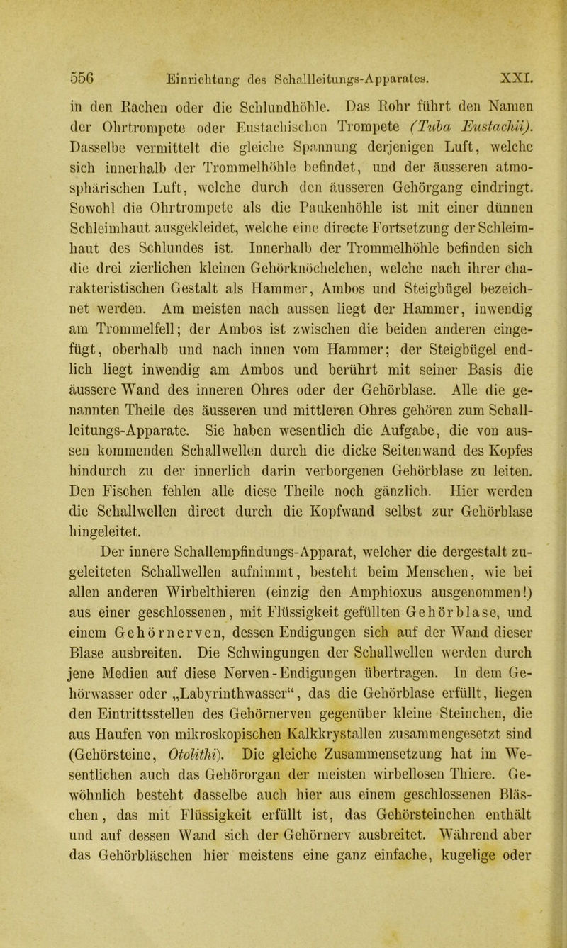 in den Rachen oder die Schlundhöhle. Das Rohr führt den Namen der Ohrtrompete oder Eustachischen Trompete (Tuba JEustachii). Dasselbe vermittelt die gleiche Spannung derjenigen Luft, welche sich innerhalb der Trommelhöhle befindet, und der äusseren atmo- sphärischen Luft, welche durch den äusseren Gehörgang eindringt. Sowohl die Ohrtrompete als die Paukenhöhle ist mit einer dünnen Schleimhaut ausgekleidet, welche eine directe Fortsetzung der Schleim- haut des Schlundes ist. Innerhalb der Trommelhöhle befinden sich die drei zierlichen kleinen Gehörknöchelchen, welche nach ihrer cha- rakteristischen Gestalt als Hammer, Ambos und Steigbügel bezeich- net werden. Am meisten nach aussen liegt der Hammer, inwendig am Trommelfell; der Ambos ist zwischen die beiden anderen einge- fügt, oberhalb und nach innen vom Hammer; der Steigbügel end- lich liegt inwendig am Ambos und berührt mit seiner Basis die äussere Wand des inneren Ohres oder der Gehörblase. Alle die ge- nannten Theile des äusseren und mittleren Ohres gehören zum Schall- leitungs-Apparate. Sie haben wesentlich die Aufgabe, die von aus- sen kommenden Schallwellen durch die dicke Seitenwand des Kopfes hindurch zu der innerlich darin verborgenen Gehörblase zu leiten. Den Fischen fehlen alle diese Theile noch gänzlich. Hier werden die Schallwellen direct durch die Kopfwand selbst zur Gehörblase hingeleitet. Der innere Schallempfindungs-Apparat, welcher die dergestalt zu- geleiteten Schallwellen aufnimmt, besteht beim Menschen, wie bei allen anderen Wirbelthieren (einzig den Amphioxus ausgenommen!) aus einer geschlossenen, mit Flüssigkeit gefüllten Gehör blase, und einem Gehörnerven, dessen Endigungen sich auf der Wand dieser Blase ausbreiten. Die Schwingungen der Schallwellen werden durch jene Medien auf diese Nerven-Endigungen übertragen. In dem Ge- hörwasser oder „Labyrinthwasser“, das die Gehörblase erfüllt, liegen den Eintrittsstellen des Gehörnerven gegenüber kleine Steinehen, die aus Haufen von mikroskopischen Kalkkrystallen zusammengesetzt sind (Gehörsteine, Otolithi). Die gleiche Zusammensetzung hat im We- sentlichen auch das Gehörorgan der meisten wirbellosen Thiere. Ge- wöhnlich besteht dasselbe auch hier aus einem geschlossenen Bläs- chen , das mit Flüssigkeit erfüllt ist, das Gehörsteinchen enthält und auf dessen Wand sich der Gehörnerv ausbreitet. Während aber das Gehörbläschen hier meistens eine ganz einfache, kugelige oder