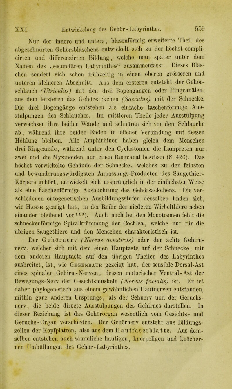 Nur der innere und untere, blasenförmig erweiterte Theil des abgeschnürten Gehörsbläschens entwickelt sich zu der höchst compli- cirten und differenzirten Bildung, welche man später unter dem Namen des „secundären Labyrinthes“ zusammenfasst. Dieses Bläs- chen sondert sich schon frühzeitig in einen oberen grösseren und unteren kleineren Abschnitt. Aus dem ersteren entsteht der Gehör- schlauch (Utricul'us) mit den drei Bogengängen oder Ringcanälen; aus dem letzteren das Gehörsäckchen (Sacculus) mit der Schnecke. Die drei Bogengänge entstehen als einfache taschenförmige Aus- stülpungen des Schlauches. Im mittleren Theilc jeder Ausstülpung verwachsen ihre beiden Wände und schnüren sich von dem Schlauche ab, während ihre beiden Enden in offener Verbindung mit dessen Höhlung bleiben. Alle Amphirhinen haben gleich dem Menschen drei Ringcanäle, während unter den Cyclostomen die Lampreten nur zwei und die Myxinoiden nur einen Ringcanal besitzen (S. 426). Das höchst verwickelte Gebäude der Schnecke, welches zu den feinsten und bewunderungswürdigsten Anpassungs-Producten des Säugethier- Körpers gehört, entwickelt sich ursprünglich in der einfachsten Weise als eine flaschenförmige Ausbuchtung des Gehörsäckchens. Die ver- schiedenen ontogenetischen Ausbildungsstufen desselben finden sich, wie Hasse gezeigt hat, in der Reihe der niederen Wirbelthiere neben einander bleibend vor110). Auch noch bei den Monotremen fehlt die schneckenförmige Spiralkrümmung der Cochlea, welche nur für die übrigen Säugethiere und den Menschen charakteristisch ist. Der Gehörnerv (Nervus acusticus) oder der achte Gehirn- nerv, welcher sich mit dem einen Hauptaste auf der Schnecke, mit dem anderen Hauptaste auf den übrigen Thcilen des Labyrinthes ausbreitet, ist, wie Gegenbauk gezeigt hat, der sensible Dorsal-Ast eines spinalen Gehirn-Nerven, dessen motorischer Ventral-Ast der Bewegungs-Nerv der Gesichtsmuskeln (Nervus facialis) ist. Er ist daher phylogenetisch aus einem gewöhnlichen Hautnerven entstanden, mithin ganz anderen Ursprungs, als der Sehnerv und der Geruchs- nerv, die beide directe Ausstülpungen des Gehirnes darstellen. In dieser Beziehung ist das Gehörorgan wesentlich vom Gesichts- und Geruchs - Organ verschieden. Der Gehörnerv entsteht aus Bildungs- zellen der Kopfplatten, also aus dem Hautfas er blatte. Aus dem- selben entstehen auch sämmliche häutigen, knorpeligen und knöcher- nen Umhüllungen des Gehör-Labyrinthes.