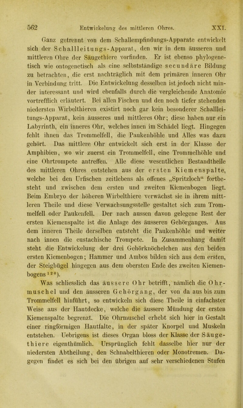 Ganz getrennt von dem Sclmllempfindungs-Apparate entwickelt sich der Schal 11 eitungs-Apparat, den wir in dem äusseren und mittleren Ohre der Säugethicre vorfinden. Er ist ebenso phylogene- tisch wie ontogenetisch als eine selbstständige secundäre Bildung zu betrachten, die erst nachträglich mit dem primären inneren Ohr in Verbindung tritt. Die Entwickelung desselben ist jedoch nicht min- der interessant und wird ebenfalls durch die vergleichende Anatomie vortrefflich erläutert. Bei allen Fischen und den noch tiefer stehenden niedersten Wirbelthieren existirt noch gar kein besonderer Schalllei- tungs-Apparat, kein äusseres und mittleres Ohr; diese haben nur ein Labyrinth, ein inneres Ohr, welches innen im Schädel liegt. Hingegen fehlt ihnen das Trommelfell, die Paukenhöhle und Alles was dazu gehört. Das mittlere Ohr entwickelt sich erst in der Klasse der Amphibien, wo wir zuerst ein Trommelfell, eine Trommelhöhle und eine Ohrtrompete antreffen. Alle diese wesentlichen Bestandtheile des mittleren Ohres entstehen aus der ersten Kiemenspalte, welche bei den Urfischen zeitlebens als offenes „Spritzloch“ fortbe- steht und zwischen dem ersten und zweiten Kiemenbogen liegt. Beim Embryo der höheren Wirbelthiere verwächst sie in ihrem mitt- leren Theile und diese Verwachsungsstelle gestaltet sich zum Trom- melfell oder Paukenfell. Der nach aussen davon gelegene Rest der ersten Kiemenspalte ist die Anlage des äusseren Gehörganges. Aus dem inneren Theile derselben entsteht die Paukenhöhle und weiter nach innen die eustachische Trompete. In Zusammenhang damit steht die Entwickelung der drei Gehörknöchelchen aus den beiden ersten Kiemenbogen; Hammer und Ambos bilden sich aus dem ersten, der Steigbügel hingegen aus dem obersten Ende des zweiten Kiemen- bogens 120). Was schliesslich das äussere Ohr betrifft, nämlich die Ohr- muschel und den äusseren G e h ö r g a n g, der von da aus bis zum Trommelfell hinführt, so entwickeln sich diese Theile in einfachster Weise aus der Hautdecke, welche die äussere Mündung der ersten Kiemenspalte begrenzt. Die Ohrmuschel erhebt sich hier in Gestalt einer ringförmigen Hautfalte, in der später Knorpel und Muskeln entstehen. Uebrigens ist dieses Organ bloss der Klasse der Säuge - thiere eigenthümlich. Ursprünglich fehlt dasselbe hier nur der niedersten Abtheilung, den Schnabelthieren oder Monotremen. Da- gegen findet es sich bei den übrigen auf sehr verschiedenen Stufen