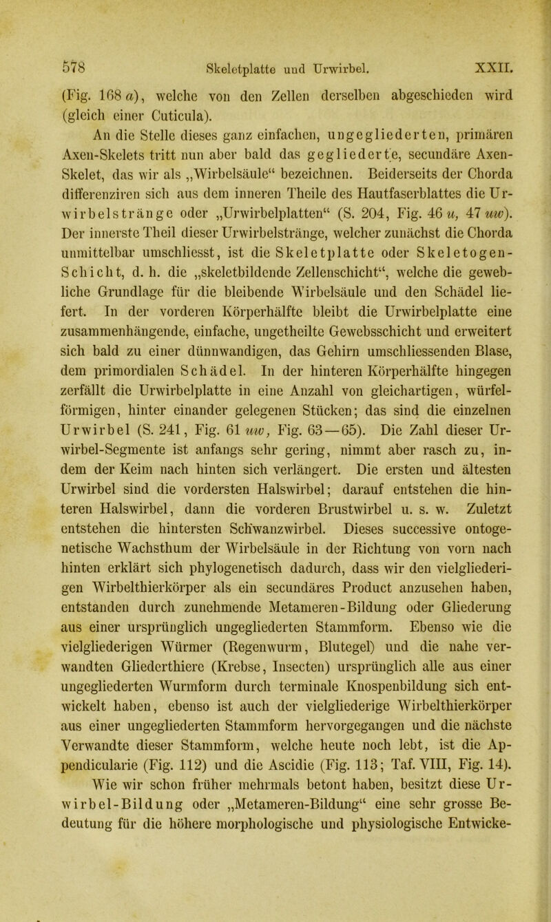 (Fig. 168 a), welche von den Zellen derselben abgeschieden wird (gleich einer Cuticula). An die Stelle dieses ganz einfachen, ungegliederten, primären Axen-Skelets tritt nun aber bald das gegliederte, secundäre Axen- Skelet, das wir als „Wirbelsäule“ bezeichnen. Beiderseits der Chorda differenziren sich aus dem inneren Theile des Hautfaserblattes die Ur- wirbels trän ge oder „Urwirbelplatten“ (S. 204, Fig. 46 u, 47 uw). Der innerste Theil dieser Urwirbelstränge, welcher zunächst die Chorda unmittelbar umschliesst, ist die Skeletplatte oder Skeletogen- Schicht, d. h. die „skeletbildende Zellenschicht“, welche die geweb- liche Grundlage für die bleibende Wirbelsäule und den Schädel lie- fert. In der vorderen Körperhälfte bleibt die Urwirbelplatte eine zusammenhängende, einfache, ungetheilte Gewebsschicht und erweitert sich bald zu einer dünnwandigen, das Gehirn umschliessenden Blase, dem primordialen Schädel. In der hinteren Körperhälfte hingegen zerfällt die Urwirbelplatte in eine Anzahl von gleichartigen, würfel- förmigen, hinter einander gelegenen Stücken; das sind die einzelnen Urwirbel (S. 241, Fig. 61 uw, Fig. 63 — 65). Die Zahl dieser Ur- wirbel-Segmente ist anfangs sehr gering, nimmt aber rasch zu, in- dem der Keim nach hinten sich verlängert. Die ersten und ältesten Urwirbel sind die vordersten Halswirbel; darauf entstehen die hin- teren Halswirbel, dann die vorderen Brustwirbel u. s. w. Zuletzt entstehen die hintersten Sch'wanzwirbel. Dieses successive ontoge- netische Wachsthum der Wirbelsäule in der Richtung von vorn nach hinten erklärt sich phylogenetisch dadurch, dass wir den vielgliederi- gen Wirbelthierkörper als ein secundäres Product anzusehen haben, entstanden durch zunehmende Metameren-Bildung oder Gliederung aus einer ursprünglich ungegliederten Stammform. Ebenso wie die vielgliederigen Würmer (Regenwurm, Blutegel) und die nahe ver- wandten Gliederthiere (Krebse, Insecten) ursprünglich alle aus einer ungegliederten Wurmform durch terminale Knospenbildung sich ent- wickelt haben, ebenso ist auch der vielgliederige Wirbel thierkörper aus einer ungegliederten Stammform hervorgegangen und die nächste Verwandte dieser Stammform, welche heute noch lebt, ist die Ap- pendicularie (Fig. 112) und die Ascidie (Fig. 113; Taf. VIII, Fig. 14). Wie wir schon früher mehrmals betont haben, besitzt diese Ur- wirbel-Bildung oder „Metameren-Bildung“ eine sehr grosse Be- deutung für die höhere morphologische und physiologische Entwiche-