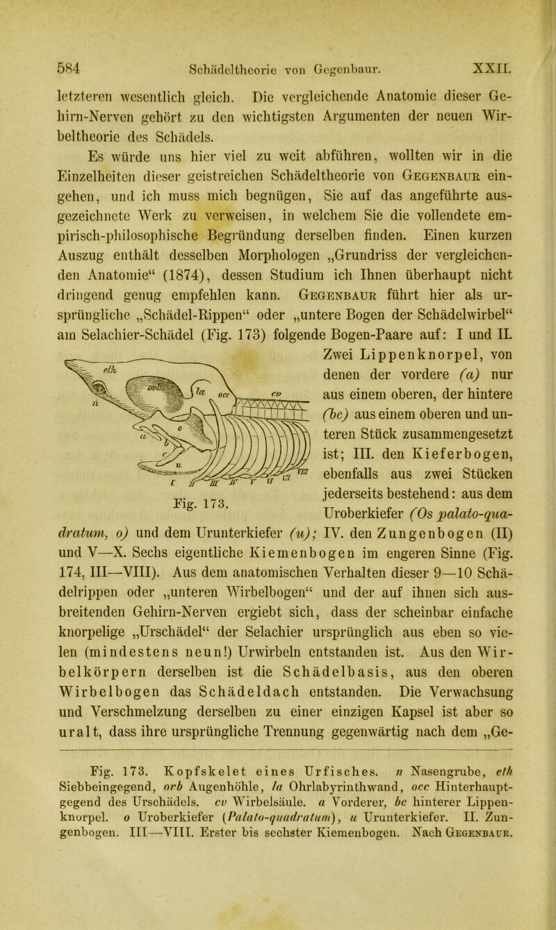 letzteren wesentlich gleich. Die vergleichende Anatomie dieser Ge- hirn-Nerven gehört zu den wichtigsten Argumenten der neuen Wir- beltheorie des Schädels. Es würde uns hier viel zu weit abführen, wollten wir in die Einzelheiten dieser geistreichen Schädeltheorie von Gegenbaur ein- gehen, und ich muss mich begnügen, Sie auf das angeführte aus- gezeichnete Werk zu verweisen, in welchem Sie die vollendete em- pirisch-philosophische Begründung derselben finden. Einen kurzen Auszug enthält desselben Morphologen „Grundriss der vergleichen- den Anatomie“ (1874), dessen Studium ich Ihnen überhaupt nicht dringend genug empfehlen kann. Gegenbaur führt hier als ur- sprüngliche „Schädel-Rippen“ oder „untere Bogen der Schädelwirbel“ am Selachier-Schädel (Fig. 173) folgende Bogen-Paare auf: I und II. Zwei Lippenknorpel, von denen der vordere (a) nur aus einem oberen, der hintere (bc) aus einem oberen und un- teren Stück zusammengesetzt ist; III. den Kieferbogen, ebenfalls aus zwei Stücken jederseits bestehend: aus dem LTroberkiefer (Os palato-qua- dratum, o) und dem Urunterkiefer (u); IV. den Zungenbogen (II) und V—X. Sechs eigentliche Kiemenbogen im engeren Sinne (Fig. 174, III—VIII). Aus dem anatomischen Verhalten dieser 9—10 Schä- delrippen oder „unteren Wirbelbogen“ und der auf ihnen sich aus- breitenden Gehirn-Nerven ergiebt sich, dass der scheinbar einfache knorpelige „Urschädel“ der Selachier ursprünglich aus eben so vie- len (mindestens neun!) Urwirbeln entstanden ist. Aus den Wir- belkörpern derselben ist die Schädelbasis, aus den oberen Wirbelbogen das Schädeldach entstanden. Die Verwachsung und Verschmelzung derselben zu einer einzigen Kapsel ist aber so uralt, dass ihre ursprüngliche Trennung gegenwärtig nach dem „Ge- Fig. 173. Kopfskelet eines Urfisches. n Nasengrube, et/t Siebbeingegend, orb Augenhöhle, la Ohrlabyrinthwand, occ Hinterhaupt- gegend des Urschädels. cv Wirbelsäule, a Vorderer, bc hinterer Lippen- knorpel. o Uroberkiefer (Pa/ato-quadratum), u Urunterkiefer. II. Zun- genbogen. III—-VIII. Erster bis sechster Kiemenbogen. Nach Gegenbaur.