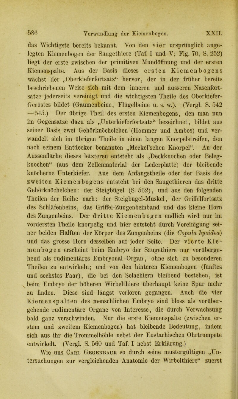 das Wichtigste bereits bekannt. Von den vier ursprünglich ange- legten Kiemenbogen der Säugethiere (Taf. I und V; Fig. 70, S. 252) liegt der erste zwischen der primitiven Mundöffnung und der ersten Kiemenspalte. Aus der Basis dieses ersten Kiemen bogens wächst der „Oberkieferfortsatz“ hervor, der in der früher bereits beschriebenen Weise sich mit dem inneren und äusseren Nasenfort- satze jederseits vereinigt und die wichtigsten Theile des Oberkiefer- Gerüstes bildet (Gaumenbeine, Flügelbeine u. s. w.). (Vergl. S. 542 — 545.) Der übrige Theil des ersten Kiemenbogens, den man nun im Gegensätze dazu als „Unterkieferfortsatz“ bezeichnet, bildet aus seiner Basis zwei Gehörknöchelchen (Hammer und Ambos) und ver- wandelt sich im übrigen Theile in einen langen Knorpelstreifen, den nach seinem Entdecker benannten „Meckel’schen Knorpel“. An der Aussenfläche dieses letzteren entsteht als „Deckknochen oder Beleg- knochen“ (aus dem Zellenmaterial der Lederplatte) der bleibende knöcherne Unterkiefer. Aus dem Anfangstheile oder der Basis des zweiten Kiemenbogens entsteht bei den Säugethieren das dritte Gehörknöchelchen: der Steigbügel (S. 562), und aus den folgenden Theilen der Reihe nach: der Steigbügel-Muskel, der Griffelfortsatz des Schläfenbeins, das Griffel-Zungenbeinband und das kleine Horn des Zungenbeins. Der dritte Kiemenbogen endlich wird nur im vordersten Theile knorpelig und hier entsteht durch Vereinigung sei- ner beiden Hälften der Körper des Zungenbeins (die Copula liyoidea) und das grosse Horn desselben auf jeder Seite. Der vierte Kie- menbogen erscheint beim Embryo der Säugethiere nur vorüberge- hend als rudimentäres Embryonal - Organ, ohne sich zu besonderen Theilen zu entwickeln; und von den hinteren Kiemenbogen (fünftes und sechstes Paar), die bei den Selachiern bleibend bestehen, ist , beim Embryo der höheren Wirbelthiere überhaupt keine Spur mehr zu finden. Diese sind längst verloren gegangen. Auch die vier Kiemenspalten des menschlichen Embryo sind bloss als vorüber- gehende rudimentäre Organe von Interesse, die durch Verwachsung bald ganz verschwinden. Nur die erste Kiemenspalte (zwischen er- stem und zweitem Kiemenbogen) hat bleibende Bedeutung, indem sich aus ihr die Trommelhöhle nebst der Eustachischen Ohrtrompete entwickelt. (Vergl. S. 560 und Taf. I nebst Erklärung.) Wie uns Carl Gegenbaur so durch seine mustergültigen „Un- tersuchungen zur vergleichenden Anatomie der Wirbelthiere“ zuerst