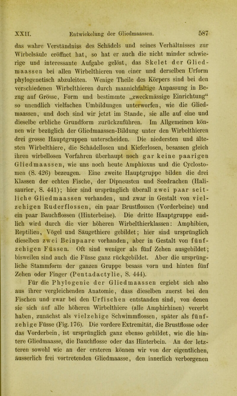 das wahre Verständnis des Schädels und seines Verhältnisses zur Wirbelsäule eröffnet hat, so hat er auch die nicht minder schwie- rige und interessante Aufgabe gelöst, das Skelet der Glied- maassen bei allen Wirbelthieren von einer und derselben Urform phylogenetisch abzuleiten. Wenige Theile des Körpers sind bei den verschiedenen Wirbelthieren durch mannichfaltige Anpassung in Be- zug auf Grösse, Form und bestimmte „zweckmässige Einrichtung“ so unendlich vielfachen Umbildungen unterworfen, wie die Glied- maassen, und doch sind wir jetzt im Stande, sie alle auf eine und dieselbe erbliche Grundform zurückzuführen. Im Allgemeinen kön- nen wir bezüglich der Gliedmaassen-Bildung unter den Wirbelthieren drei grosse Hauptgruppen unterscheiden. Die niedersten und älte- sten Wirbelthiere, die Schädellosen und Kieferlosen, besassen gleich ihren wirbellosen Vorfahren überhaupt noch gar keine paarigen Gliedmaassen, wie uns noch heute Amphioxus und die Cyclosto- men (S. 426) bezeugen. Eine zweite Hauptgruppe bilden die drei Klassen der echten Fische, der Dipneusten und Seedrachen (Hali- saurier, S. 441); hier sind ursprünglich überall zwei paar seit- liche Gliedmaassen vorhanden, und zwar in Gestalt von viel- zelligen Ru der floss en, ein paar Brustflossen (Vorderbeine) und ein paar Bauchflossen (Hinterbeine). Die dritte Hauptgruppe end- lich wird durch die vier höheren Wirbelthierklassen: Amphibien, Reptilien, Vögel und Säugethiere gebildet; hier sind ursprünglich dieselben zwei Beinpaare vorhanden, aber in Gestalt von fünf- zehigen Füssen. Oft sind weniger als fünf Zehen ausgebildet; bisweilen sind auch die Fiisse ganz rückgebildet. Aber die ursprüng- liche Stammform der ganzen Gruppe besass vorn und hinten fünf Zehen oder Finger (Pentadactylie, S. 444). Für die Phylogenie der Gliedmaassen ergiebt sich also aus ihrer vergleichenden Anatomie, dass dieselben zuerst bei den Fischen und zwar bei den Urfisehen entstanden sind, von denen sie sich auf alle höheren Wirbelthiere (alle Amphirhinen) vererbt haben, zunächst als vielzehige Schwimmflossen, später als fünf- zehige Füsse (Fig. 176). Die vordere Extremität, die Brustflosse oder das Vorderbein, ist ursprünglich ganz ebenso gebildet, wie die hin- tere Gliedmaasse, die Bauchflosse oder das Hinterbein. An der letz- teren sowohl wie an der ersteren können wir von der eigentlichen, äusserlich frei vortretenden Gliedmaasse, den innerlich verborgenen