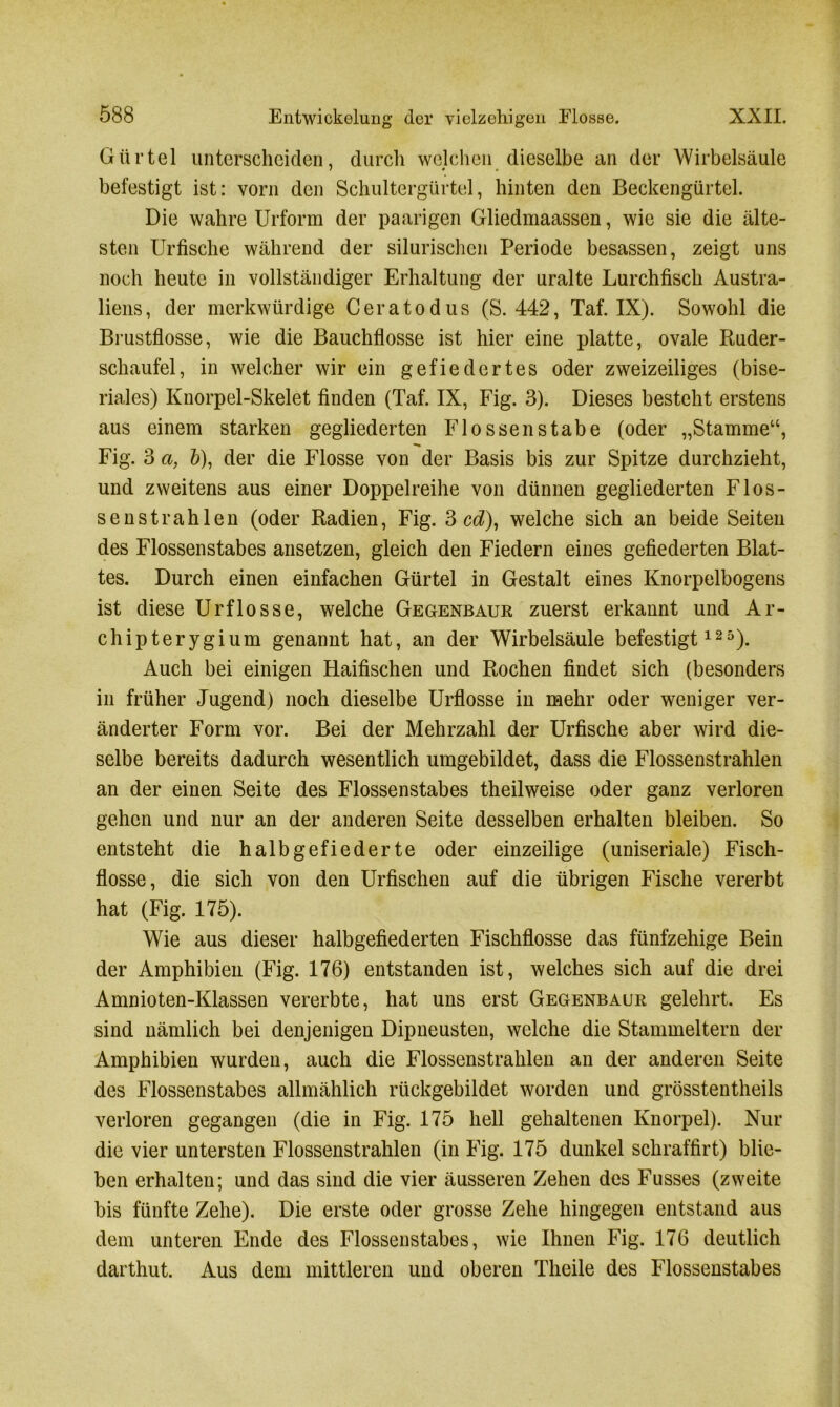 Gürtel unterscheiden, durch welchen dieselbe an der Wirbelsäule befestigt ist: vorn den Schultergürtel, hinten den Beckengürtel. Die wahre Urform der paarigen Gliedmaassen, wie sie die älte- sten Urfische während der silurischcn Periode besassen, zeigt uns noch heute in vollständiger Erhaltung der uralte Lurchfisch Austra- liens, der merkwürdige Ceratodus (S. 442, Taf. IX). Sowohl die Brustflosse, wie die Bauchflosse ist hier eine platte, ovale Ruder- schaufel, in welcher wir ein gefiedertes oder zweizeiliges (bise- riales) Knorpel-Skelet finden (Taf. IX, Fig. 3). Dieses besteht erstens aus einem starken gegliederten Flossen stabe (oder „Stamme“, Fig. 3 a, 6), der die Flosse von der Basis bis zur Spitze durchzieht, und zweitens aus einer Doppelreihe von dünnen gegliederten Flos- senstrahlen (oder Radien, Fig. 3 cd), welche sich an beide Seiten des Flossenstabes ansetzen, gleich den Fiedern eines gefiederten Blat- tes. Durch einen einfachen Gürtel in Gestalt eines Knorpelbogens ist diese Urflosse, welche Gegenbaur zuerst erkannt und Ar- chipterygium genannt hat, an der Wirbelsäule befestigt125). Auch bei einigen Haifischen und Rochen findet sich (besonders in früher Jugend) noch dieselbe Urflosse in mehr oder weniger ver- änderter Form vor. Bei der Mehrzahl der Urfische aber wird die- selbe bereits dadurch wesentlich umgebildet, dass die Flossenstrahlen an der einen Seite des Flossenstabes theilweise oder ganz verloren gehen und nur an der anderen Seite desselben erhalten bleiben. So entsteht die halbgefiederte oder einzeilige (uniseriale) Fisch- flosse, die sich von den Urfischen auf die übrigen Fische vererbt hat (Fig. 175). Wie aus dieser halbgefiederten Fischflosse das fünfzehige Bein der Amphibien (Fig. 176) entstanden ist, welches sich auf die drei Amnioten-Klassen vererbte, hat uns erst Gegenbaur gelehrt. Es sind nämlich bei denjenigen Dipneusten, welche die Stammeltern der Amphibien wurden, auch die Flossenstrahlen an der anderen Seite des Flossenstabes allmählich rückgebildet worden und grösstentheils verloren gegangen (die in Fig. 175 hell gehaltenen Knorpel). Nur die vier untersten Flossenstrahlen (in Fig. 175 dunkel schraffirt) blie- ben erhalten; und das sind die vier äusseren Zehen des Fusses (zweite bis fünfte Zehe). Die erste oder grosse Zehe hingegen entstand aus dem unteren Ende des Flossenstabes, wie Ihnen Fig. 176 deutlich darthut. Aus dem mittleren und oberen Tlieile des Flossenstabes