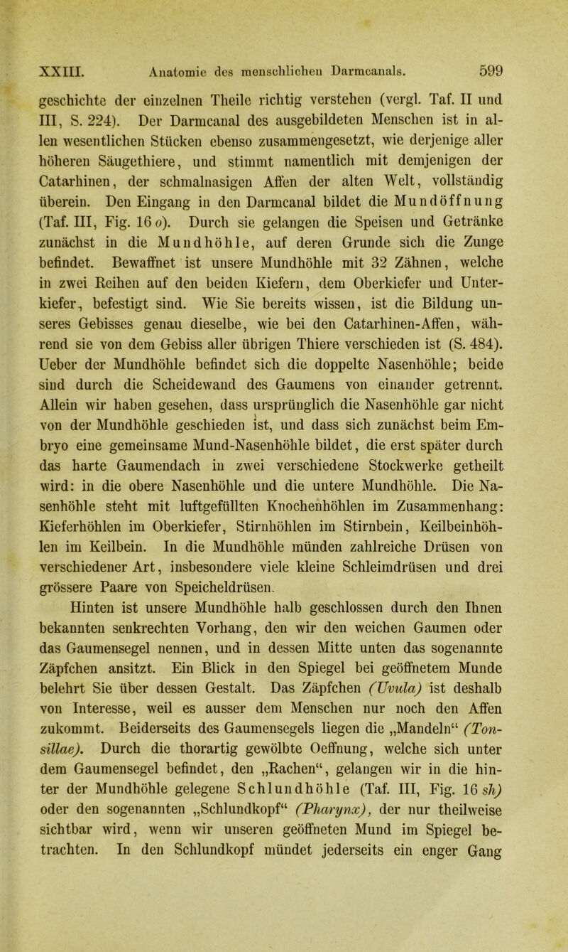 geschichte der einzelnen Tlieilc richtig verstehen (vergl. Taf. II und III, S. 224). Der Darmcanal des ausgebildeten Menschen ist in al- len wesentlichen Stücken ebenso zusammengesetzt, wie derjenige aller höheren Säugethiere, und stimmt namentlich mit demjenigen der Catarhinen, der schmalnasigen Affen der alten Welt, vollständig überein. Den Eingang in den Darmcanal bildet die Mundöffnung (Taf. III, Fig. 16 o). Durch sie gelangen die Speisen und Getränke zunächst in die Mundhöhle, auf deren Grunde sich die Zunge befindet. Bewaffnet ist unsere Mundhöhle mit 32 Zähnen, welche in zwei Reihen auf den beiden Kiefern, dem Oberkiefer und Unter- kiefer, befestigt sind. Wie Sie bereits wissen, ist die Bildung un- seres Gebisses genau dieselbe, wie bei den Catarhinen-Affen, wäh- rend sie von dem Gebiss aller übrigen Thiere verschieden ist (S. 484). Ueber der Mundhöhle befindet sich die doppelte Nasenhöhle; beide sind durch die Scheidewand des Gaumens von einander getrennt. Allein wir haben gesehen, dass ursprünglich die Nasenhöhle gar nicht \ von der Mundhöhle geschieden ist, und dass sich zunächst beim Em- bryo eine gemeinsame Mund-Nasenhöhle bildet, die erst später durch das harte Gaumendach in zwei verschiedene Stockwerke getheilt wird: in die obere Nasenhöhle und die untere Mundhöhle. Die Na- senhöhle steht mit luftgefüllten Knochenhöhlen im Zusammenhang: Kieferhöhlen im Oberkiefer, Stirnhöhlen im Stirnbein, Keilbeinhöh- len im Keilbein. In die Mundhöhle münden zahlreiche Drüsen von verschiedener Art, insbesondere viele kleine Schleimdrüsen und drei grössere Paare von Speicheldrüsen. Hinten ist unsere Mundhöhle halb geschlossen durch den Ihnen bekannten senkrechten Vorhang, den wir den weichen Gaumen oder das Gaumensegel nennen, und in dessen Mitte unten das sogenannte Zäpfchen ansitzt. Ein Blick in den Spiegel bei geöffnetem Munde belehrt Sie über dessen Gestalt. Das Zäpfchen (Uvula) ist deshalb von Interesse, weil es ausser dem Menschen nur noch den Affen zukommt. Beiderseits des Gaumensegels liegen die „Mandeln“ (Ton- sillae). Durch die thorartig gewölbte Oeffnung, welche sich unter dem Gaumensegel befindet, den „Rachen“, gelangen wir in die hin- ter der Mundhöhle gelegene Schlundhöhle (Taf. III, Fig. 16 sh) oder den sogenannten „Schlundkopf“ (Pharynx), der nur theilweise sichtbar wird, wenn wir unseren geöffneten Mund im Spiegel be- trachten. In den Schlundkopf mündet jederseits ein enger Gang