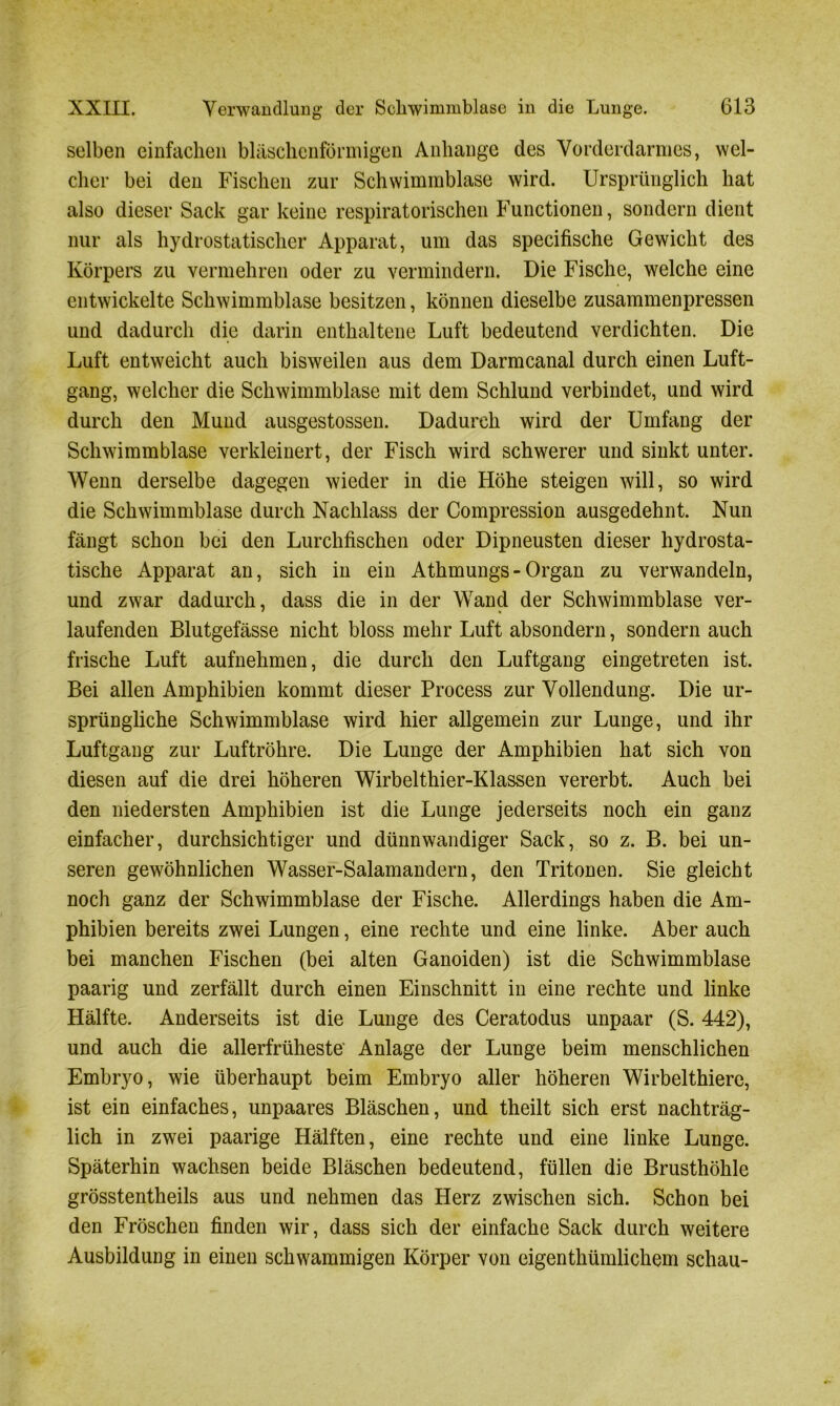 selben einfachen bläschenförmigen Anhänge des Vorderdarmes, wel- cher bei den Fischen zur Schwimmblase wird. Ursprünglich hat also dieser Sack gar keine respiratorischen Functionen, sondern dient nur als hydrostatischer Apparat, um das specifische Gewicht des Körpers zu vermehren oder zu vermindern. Die Fische, welche eine entwickelte Schwimmblase besitzen, können dieselbe zusammenpressen und dadurch die darin enthaltene Luft bedeutend verdichten. Die Luft entweicht auch bisweilen aus dem Darmcanal durch einen Luft- gang, welcher die Schwimmblase mit dem Schlund verbindet, und wird durch den Mund ausgestossen. Dadurch wird der Umfang der Schwimmblase verkleinert, der Fisch wird schwerer und sinkt unter. Wenn derselbe dagegen wieder in die Höhe steigen will, so wird die Schwimmblase durch Nachlass der Compression ausgedehnt. Nun fängt schon bei den Lurchfischen oder Dipneusten dieser hydrosta- tische Apparat an, sich in ein Athmungs- Organ zu verwandeln, und zwar dadurch, dass die in der Wand der Schwimmblase ver- • « laufenden Blutgefässe nicht bloss mehr Luft absondern, sondern auch frische Luft aufnehmen, die durch den Luftgang eingetreten ist. Bei allen Amphibien kommt dieser Process zur Vollendung. Die ur- sprüngliche Schwimmblase wird hier allgemein zur Lunge, und ihr Luftgang zur Luftröhre. Die Lunge der Amphibien hat sich von diesen auf die drei höheren Wirbelthier-Klassen vererbt. Auch bei den niedersten Amphibien ist die Lunge jederseits noch ein ganz einfacher, durchsichtiger und dünnwandiger Sack, so z. B. bei un- seren gewöhnlichen Wasser-Salamandern, den Tritonen. Sie gleicht noch ganz der Schwimmblase der Fische. Allerdings haben die Am- phibien bereits zwei Lungen, eine rechte und eine linke. Aber auch bei manchen Fischen (bei alten Ganoiden) ist die Schwimmblase paarig und zerfällt durch einen Einschnitt in eine rechte und linke Hälfte. Anderseits ist die Lunge des Ceratodus unpaar (S. 442), und auch die allerfrüheste' Anlage der Lunge beim menschlichen Embryo, wie überhaupt beim Embryo aller höheren Wirbelthierc, ist ein einfaches, unpaares Bläschen, und theilt sich erst nachträg- lich in zwei paarige Hälften, eine rechte und eine linke Lunge. Späterhin wachsen beide Bläschen bedeutend, füllen die Brusthöhle grösstentheils aus und nehmen das Herz zwischen sich. Schon bei den Fröschen finden wir, dass sich der einfache Sack durch weitere Ausbildung in einen schwammigen Körper von eigenthümlichem schau-