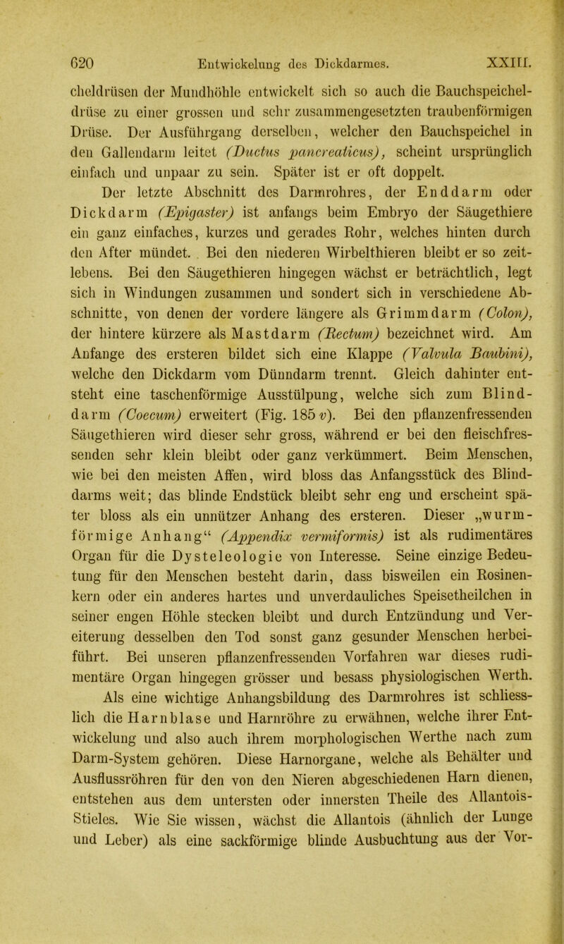 clieldrüsen der Mundhöhle entwickelt sich so auch die Bauchspeichel- drüse zu einer grossen und sehr zusammengesetzten traubenförmigen Drüse. Der Ausführgang derselben, welcher den Bauchspeichel in den Gallendarm leitet (Ductus pancreaticus), scheint ursprünglich einfach und unpaar zu sein. Später ist er oft doppelt. Der letzte Abschnitt des Darmrohres, der Enddarm oder Dickdarm (Epigaster) ist anfangs beim Embryo der Säugethiere ein ganz einfaches, kurzes und gerades Rohr, welches hinten durch den After mündet. Bei den niederen Wirbelthieren bleibt er so zeit- lebens. Bei den Säugethieren hingegen wächst er beträchtlich, legt sich in Windungen zusammen und sondert sich in verschiedene Ab- schnitte, von denen der vordere längere als Grimmdarm (Colon), der hintere kürzere als Mastdarm (Rectum) bezeichnet wird. Am Anfänge des ersteren bildet sich eine Klappe (Yalvula Baubini), welche den Dickdarm vom Dünndarm trennt. Gleich dahinter ent- steht eine taschenförmige Ausstülpung, welche sich zum Blind- darm (Coecum) erweitert (Fig. 185 v). Bei den pflanzenfressenden Säugethieren wird dieser sehr gross, während er bei den fleischfres- senden sehr klein bleibt oder ganz verkümmert. Beim Menschen, wie bei den meisten Affen, wird bloss das Anfangsstück des Blind- darms weit; das blinde Endstück bleibt sehr eng und erscheint spä- ter bloss als ein unnützer Anhang des ersteren. Dieser „wurm- förmige Anhang“ (Appendix vermiformis) ist als rudimentäres Organ für die Dysteleologie von Interesse. Seine einzige Bedeu- tung für den Menschen besteht darin, dass bisweilen ein Rosinen- kern oder ein anderes hartes und unverdauliches Speisetheilchen in seiner engen Höhle stecken bleibt und durch Entzündung und Ver- eiterung desselben den Tod sonst ganz gesunder Menschen herbei- führt. Bei unseren pflanzenfressenden Vorfahren war dieses rudi- mentäre Organ hingegen grösser und besass physiologischen Werth. Als eine wichtige Anhangsbildung des Darmrohres ist schliess- lich die Harnblase und Harnröhre zu erwähnen, welche ihrer Ent- wickelung und also auch ihrem morphologischen Werthe nach zum Darm-System gehören. Diese Harnorgane, welche als Behälter und Ausflussrohren für den von den Nieren abgeschiedenen Harn dienen, entstehen aus dem untersten oder innersten Theile des Allantois- Stieles. Wie Sie wissen, wächst die Allantois (ähnlich der Lunge und Leber) als eine sackförmige blinde Ausbuchtung aus der Vor-