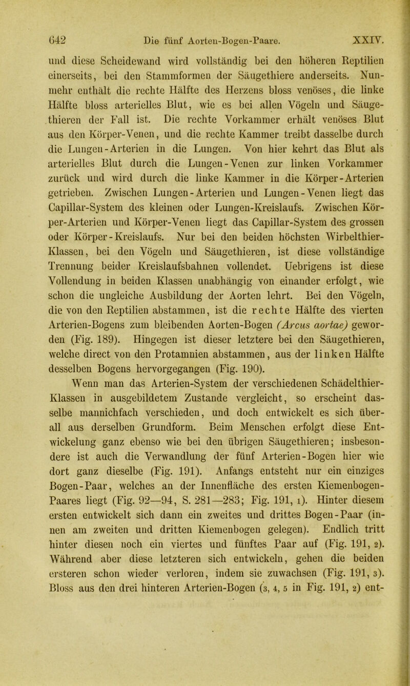 und diese Scheidewand wird vollständig bei den höheren Reptilien einerseits, bei den Stammformen der Säugethiere anderseits. Nun- mehr enthält die rechte Hälfte des Herzens bloss venöses, die linke Hälfte bloss arterielles Blut, wie es bei allen Vögeln und Säuge- thieren der Fall ist. Die rechte Vorkammer erhält venöses Blut aus den Körper-Venen, und die rechte Kammer treibt dasselbe durch die Lungen - Arterien in die Lungen. Von hier kehrt das Blut als arterielles Blut durch die Lungen-Venen zur linken Vorkammer zurück und wird durch die linke Kammer in die Körper-Arterien getrieben. Zwischen Lungen - Arterien und Lungen-Venen liegt das Capillar-System des kleinen oder Lungen-Kreislaufs. Zwischen Kör- per-Arteriell und Körper-Venen liegt das Capillar-System des grossen oder Körper - Kreislaufs. Nur bei den beiden höchsten Wirbelthier- Klassen, bei den Vögeln und Säugethieren, ist diese vollständige Trennung beider Kreislaufsbahnen vollendet. Uebrigens ist diese Vollendung in beiden Klassen unabhängig von einander erfolgt, wie schon die ungleiche Ausbildung der Aorten lehrt. Bei den Vögeln, die von den Reptilien abstammen, ist die rechte Hälfte des vierten Arterien-Bogens zum bleibenden Aorten-Bogen (Arcus aortae) gewor- den (Fig. 189). Hingegen ist dieser letztere bei den Säugethieren, welche direct von den Protamnien abstammen, aus der linken Hälfte desselben Bogens hervorgegangen (Fig. 190). Wenn man das Arterien-System der verschiedenen Schädelthier- Klassen in ausgebildetem Zustande vergleicht, so erscheint das- selbe mannichfach verschieden, und doch entwickelt es sich über- all aus derselben Grundform. Beim Menschen erfolgt diese Ent- wickelung ganz ebenso wie bei den übrigen Säugethieren; insbeson- dere ist auch die Verwandlung der fünf Arterien - Bogen hier wie dort ganz dieselbe (Fig. 191). Anfangs entsteht nur ein einziges Bogen-Paar, welches an der Innenfläche des ersten Kiemenbogen- Paares liegt (Fig. 92—94, S. 281—283; Fig. 191, i). Hinter diesem ersten entwickelt sich dann ein zweites und drittes Bogen-Paar (in- nen am zweiten und dritten Kiemenbogen gelegen). Endlich tritt hinter diesen noch ein viertes und fünftes Paar auf (Fig. 191, 2). Während aber diese letzteren sich entwickeln, gehen die beiden ersteren schon wieder verloren, indem sie Zuwachsen (Fig. 191,3). Bloss aus den drei hinteren Arterien-Bogen (3, 4, 5 in Fig. 191, 2) ent-