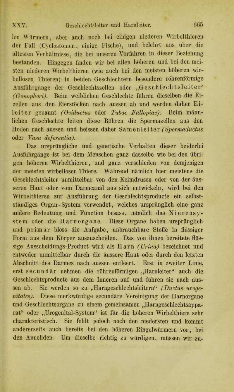 len Würmern, aber auch noch bei einigen niederen Wirbelthieren der Fall (Cyclostomen, einige Fische), und belehrt uns über die ältesten Verhältnisse, die bei unseren Vorfahren in dieser Beziehung bestanden. Hingegen finden wir bei allen höheren und bei den mei- sten niederen Wirbelthieren (wie auch bei den meisten höheren wir- bellosen Thieren) in beiden Geschlechtern besondere röhrenförmige Ausführgänge der Geschlechtszellen oder „Geschlechtsleiter“ (Gonophori). Beim weiblichen Geschlechte führen dieselben die Ei- zellen aus den Eierstöcken nach aussen ab und werden daher Ei- leiter genannt (Oviducius oder Tubae Fallopiae). Beim männ- lichen Geschlechte leiten diese Röhren die Spermazellen aus den Hoden nach aussen und heissen daher Samenleiter (Spermaductus oder Vasa deferentia). Das ursprüngliche und genetische Verhalten dieser beiderlei Ausführgänge ist bei dem Menschen ganz dasselbe wie bei den übri- gen höheren Wirbelthieren, und ganz verschieden von demjenigen der meisten wirbellosen Thiere. WTährend nämlich hier meistens die Geschlechtsleiter unmittelbar von den Keimdrüsen oder von der äus- seren Haut oder vom Darmcanal aus sich entwickeln, wird bei den Wirbelthieren zur Ausführung der Geschlechtsproducte ein selbst- ständiges Organ-System verwendet, welches ursprünglich eine ganz andere Bedeutung und Function besass, nämlich das Nierensy- stem oder die Harnorgane. Diese Organe haben ursprünglich und primär bloss die Aufgabe, unbrauchbare Stoffe in flüssiger Form aus dem Körper auszuscheiden. Das von ihnen bereitete flüs- sige Ausscheidungs-Product wird als Harn (TJrina) bezeichnet und entweder unmittelbar durch die äussere Haut oder durch den letzten Abschnitt des Darmes nach aussen entleert. Erst in zweiter Linie, erst secundär nehmen die röhrenförmigen „Harnleiter“ auch die Geschlechtsproducte aus dem Inneren auf und führen sie nach aus- sen ab. Sie werden so zu „Harngeschlechtsleitern“ (Ductus uroge- nitales). Diese merkwürdige secundäre Vereinigung der Harnorgane und Geschlechtsorgane zu einem gemeinsamen „Harngeschlechtsappa- rat“ oder „Urogenital-System“ ist für die höheren Wirbelthiere sehr charakteristisch. Sie fehlt jedoch noch den niedersten und kommt andererseits auch bereits bei den höheren Ringelwürmern vor, bei den Anneliden. Um dieselbe richtig zu würdigen, müssen wir zu-