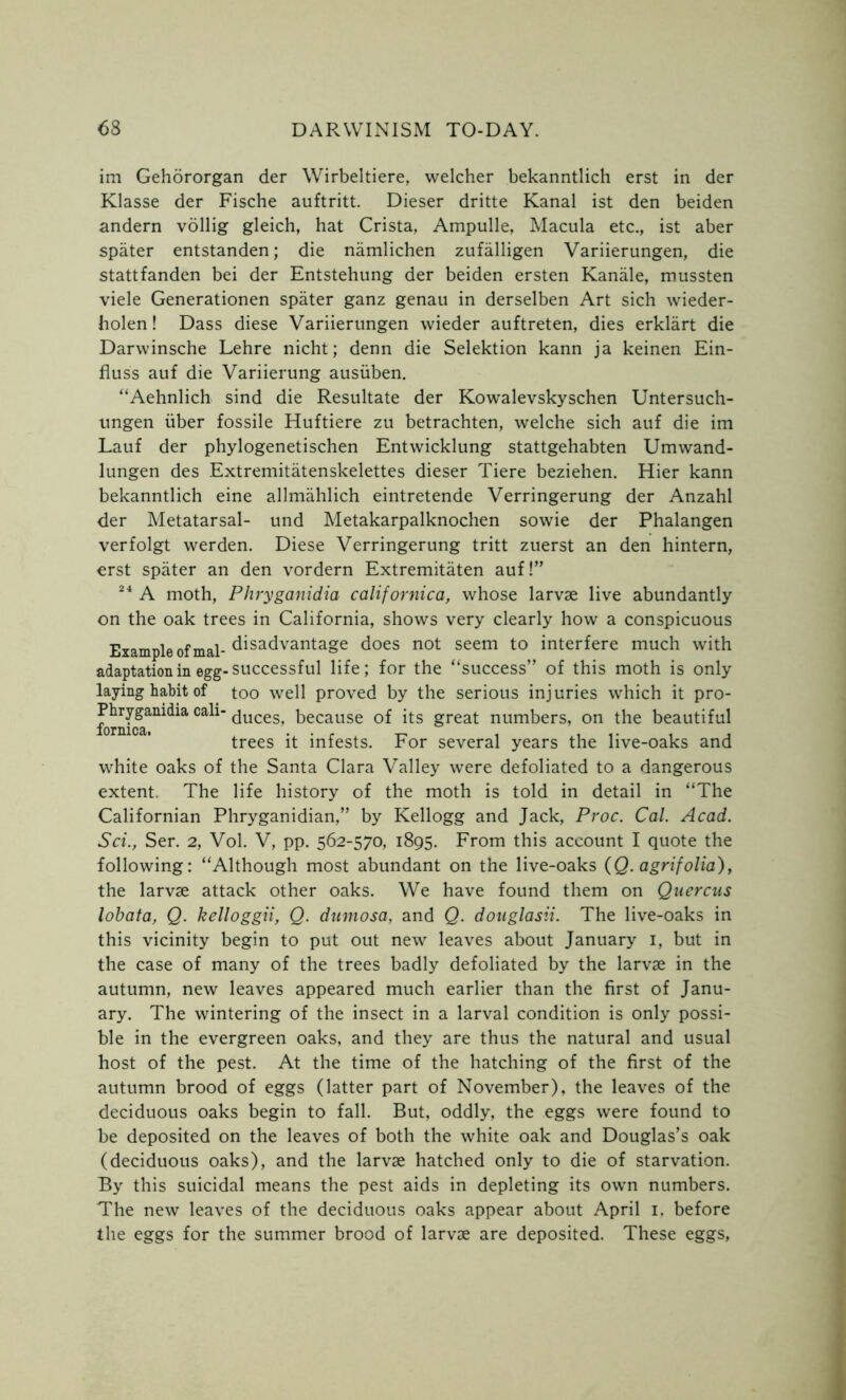 im Gehororgan der Wirbeltiere, welcher bekanntlich erst in der Klasse der Fische auftritt. Dieser dritte Kanal ist den beiden andern vollig gleich, hat Crista, Ampulle, Macula etc., ist aber spater entstanden; die namlichen zufalligen Variierungen, die stattfanden bei der Entstehung der beiden ersten Kanale, mussten viele Generationen spater ganz genau in derselben Art sich wieder- holen! Dass diese Variierungen wieder auftreten, dies erklart die Darwinsche Lehre nicht; denn die Selektion kann ja keinen Ein- fluss auf die Variierung ausiiben. “Aehnlich sind die Resultate der Kowalevskyschen Untersuch- ungen iiber fossile Huftiere zu betrachten, welche sich auf die im Lauf der phylogenetischen Entwicklung stattgehabten Umwand- lungen des Extremitatenskelettes dieser Tiere beziehen. Hier kann bekanntlich eine allmahlich eintretende Verringerung der Anzahl der Metatarsal- und Metakarpalknochen sowie der Phalangen verfolgt werden. Diese Verringerung tritt zuerst an den hintern, erst spater an den vordern Extremitaten auf!” 24 A moth, Phryganidia californica, whose larvae live abundantly on the oak trees in California, shows very clearly how a conspicuous Example of mal- disadvantage does not seem to interfere much with adaptation in egg-successful life; for the “success” of this moth is only laying habit of too well proved by the serious injuries which it pro- fornfca™^0311^115’ because of its great numbers, on the beautiful trees it infests. For several years the live-oaks and white oaks of the Santa Clara Valley were defoliated to a dangerous extent. The life history of the moth is told in detail in “The Californian Phryganidian,” by Kellogg and Jack, Proc. Cal. Acad. Sci., Ser. 2, Vol. V, pp. 562-570, 1895. From this account I quote the following: “Although most abundant on the live-oaks {Q. agrifolia), the larvae attack other oaks. We have found them on Quercus lobata, Q. kelloggii, Q. dumosa, and Q. douglasii. The live-oaks in this vicinity begin to put out new leaves about January 1, but in the case of many of the trees badly defoliated by the larvae in the autumn, new leaves appeared much earlier than the first of Janu- ary. The wintering of the insect in a larval condition is only possi- ble in the evergreen oaks, and they are thus the natural and usual host of the pest. At the time of the hatching of the first of the autumn brood of eggs (latter part of November), the leaves of the deciduous oaks begin to fall. But, oddly, the eggs were found to be deposited on the leaves of both the white oak and Douglas’s oak (deciduous oaks), and the larvae hatched only to die of starvation. By this suicidal means the pest aids in depleting its own numbers. The new leaves of the deciduous oaks appear about April 1. before the eggs for the summer brood of larvae are deposited. These eggs.