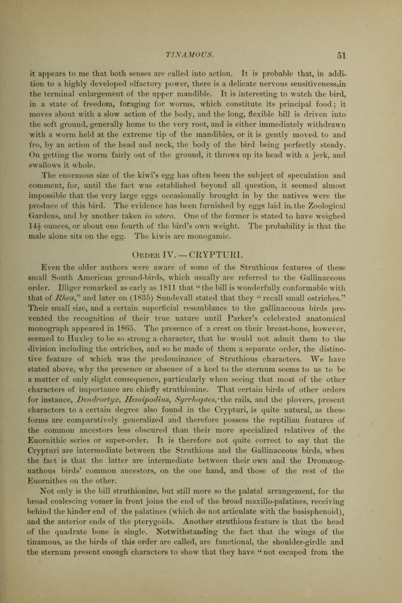 it appears to me that both senses are called into action. It is probable that, in addi- tion to a highly developed olfactory power, there is a delicate nervous sensitiveness.in the terminal enlargement of the upper mandible. It is interesting to watch the bird, in a state of freedom, foraging for worms, which constitute its principal food; it moves about with a slow action of the body, and the long, flexible bill is driven into the soft ground, generally home to the very root, and is either immediately withdrawn with a worm held at the extreme tip of the mandibles, or it is gently moved to and fro, by an action of the head and neck, the body of the bird being perfectly steady. On getting the worm fairly out of the ground, it throws up its head with a jerk, and swallows it whole. The enormous size of the kiwi’s egg has often been the subject of speculation and comment, for, until the fact was established beyond all question, it seemed almost impossible that the very large eggs occasionally brought in by the natives were the produce of this bird. The evidence has been furnished by eggs laid in. the Zoological Gardens, and by another taken in utero. One of the former is stated to have weighed 14£ ounces, or about one fourth of the bird’s own weight. The probability is that the male alone sits on the egg. The kiwis are monogamic. Order IV. — CRYPTURI. Even the older authors were aware of some of the Struthious features of these small South American ground-birds, which usually are referred to the Gallinaceous order. Illiger remarked as early as 1811 that “ the bill is wonderfully conformable with that of ffliea” and later on (1885) Sundevall stated that they “ recall small ostriches.” Their small size, and a certain superficial resemblance to the gallinaceous birds pre- vented the recognition of their true nature until Parker’s celebrated anatomical monograph appeared in 1865. The presence of a crest on their breast-bone, however, seemed to Huxley to be so strong a character, that he would not admit them to the division including the ostriches, and so he made of them a separate order, the distinc- tive feature of which was the predominance of Struthious characters. We have stated above, why the presence or absence of a keel to the sternum seems to us to be a matter of only slight consequence, particularly when seeing that most of the other characters of importance are chiefly struthionine. That certain birds of other orders for instance, Dendrortyx, Hemipodius, Syrrhaptes,* the rails, and the plovers, present characters to a certain degree also found in the Crypturi, is quite natural, as these forms are comparatively generalized and therefore possess the reptilian features of the common ancestors less obscured than their more specialized relatives of the Euornithic series or super-order. It is therefore not quite correct to say that the Crypturi are intermediate between the Struthious and the Gallinaceous birds, when the fact is that the latter are intermediate between their own and the Dronueog- nathous birds’ common ancestors, on the one hand, and those of the rest of the Euornithes on the other. Not only is the bill struthionine, but still more so the palatal arrangement, for the broad coalescing vomer in front joins the end of the broad maxillo-palatines, receiving behind the hinder end of the palatines (which do not articulate with the basisphenoid), and the anterior ends of the pterygoids. Another struthious feature is that the head of the quadrate bone is single. Notwithstanding the fact that the wings of the tinamous, as the birds of this order are called, are functional, the shoulder-girdle and the sternum present enough characters to show that they have “ not escaped from the