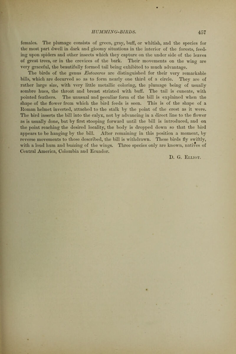 females. The plumage consists of green, gray, buff, or whitish, and the species for the most part dwell in dark and gloomy situations in the interior of the forests, feed- ing upon spiders and other insects which they capture on the under side of the leaves of great trees, or in the crevices of the bark. Their movements on the wing are very graceful, the beautifully formed tail being exhibited to much advantage. The birds of the genus Eutoxeres are distinguished for their very remarkable bills, which are decurved so as to form nearly one third of a circle. They are of rather large size, with very little metallic coloring, the plumage being of usually sombre hues, the throat and breast striated with buff. The tail is cuneate, with pointed feathers. The unusual and peculiar form of the bill is explained when the shape of the flower from which the bird feeds is seen. This is of the shape of a Roman helmet inverted, attached to the stalk by the point of the crest as it were. The bird inserts the bill into the calyx, not by advancing in a direct line to the flower as is usually done, but by first stooping forward until the bill is introduced, and on the jioint reaching the desired locality, the body is dropped down so that the bird appears to be hanging by the bill. After remaining in this position a moment, by reverse movements to those described, the bill is withdrawn. These birds fly swiftly, with a loud hum and buzzing of the wings. Three species only are known, natives of Central America, Colombia and Ecuador. D. G. Elliot.