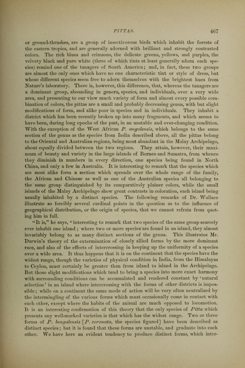 or ground-thrushes, are a group of insectivorous birds which inhabit the forests of the eastern tropics, and are generally adorned with brilliant and strongly contrasted colors. The rich blues and crimsons, the delicate greens, yellows, and purples, the velvety black and pure white (three of which tints at least generally adorn each spe- cies) remind one of the tanagers of South America; and, in fact, these two groups are almost the only ones which have no one characteristic tint or style of dress, but whose different species seem free to adorn themselves with the brightest hues from Nature’s laboratory. There is, however, this difference, that, whereas the tanagers are a dominant group, abounding in genera, species, and individuals, over a very wide area, and presenting to our view much variety of form and almost every possible com- bination of colors, the pittas are a small and probably decreasing genus, with but slight modifications of form, and alike poor in species and in individuals. They inhabit a district which has been recently broken up into many fragments, and which seems to have been, during long epochs of the past, in an unstable and ever-changing condition. With the exception of the West African P. angolensis, which belongs to the same section of the genus as the species from India described above, all the pittas belong to the Oriental and Australian regions, being most abundant in the Malay Archipelago, about equally divided between the two regions. They attain, however, their maxi- mum of beauty and variety in the large islands of Borneo and Sumatra, from whence they diminish in numbers in every direction, one species being found in North China, and only a few in Australia. It is interesting to remark that the species which are most alike form a section which spreads over the whole range of the family, the African and Chinese as well as one of the Australian species all belonging to the same group distinguished by its comparatively plainer colors, while the small islands of the Malay Archipelago show great contrasts in coloration, each island being usually inhabited by a distinct species. The following remarks of Dr. Wallace illustrate so forcibly several cardinal points in the question as to the influence of geographical distribution, or the origin of sj:>ecies, that we cannot refrain from quot- ing him in full. “It is,” he says, “interesting to remark that two species of the same group scarcely ever inhabit one island ; where two or more species' are found in an island, they almost invariably belong to as many distinct sections of the genus. This illustrates Mr. Darwin’s theory of the extermination of closely allied forms by the more dominant race, and also of the effects of intercrossing in keeping up the uniformity of a species over a wide area. It thus happens that it is on the continent that the species have the widest range, though the varieties of physical condition in India, from the Himalayas to Ceylon, must certainly be greater than from island to island in the Archipelago. But those slight modifications which tend to bring a species into more exact harmony with surrounding conditions can be accumulated and rendered constant by ‘ natural selection ’ in an island where intercrossing with the forms of other districts is impos- sible ; while on a continent the same mode of action will be Arery often neutralized by the intermingling of the various forms which must occasionally come in contact with each other, except where the habits of the animal are much opposed to locomotion. It is an interesting confirmation of this theory that the only species of Pitta which presents any well-marked varieties is that which has the widest range. Two or three forms of P. bengalensis [_P. coronata, the species figured] have been described as distinct species; but it is found that these forms are unstable, and graduate into each other. We have here an evident tendency to produce distinct forms, which inter-
