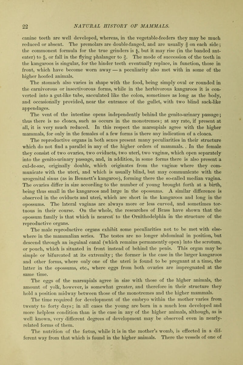 canine teetli are well developed, whereas, in the vegetable-feeders they may be much reduced or absent. The premolars are double-fanged, and are usually § on each side; the commonest formula for the true grinders is but it may rise (in the banded ant- eater) to |, or fall in the flying phalanger to f{. The mode of succession of the teeth in the kangaroos is singular, for the hinder teeth eventually replace, in function, those in front, which have become worn away — a peculiarity also met with in some of the higher hoofed animals. The stomach also varies in shape with the food, being singly oval or rounded in the carnivorous or insectivorous forms, while in the herbivorous kangaroos it is con- verted into a gut-like tube, sacculated like the colon, sometimes as long as the body, and occasionally provided, near the entrance of the gullet, with two blind sack-like appendages. The vent of the intestine opens independently behind the genito-urinary passage; thus there is no cloaca, such as occurs in the monotremes; at any rate, if present at all, it is very much reduced. In this respect the marsupials agree with the higher mammals, for only in the females of a few forms is there any indication of a cloaca. The reproductive organs in both sexes present many peculiarities in their structure which do not find a parallel in any of the higher orders of mammals. . In the female they consist of two ovaries, two oviducts, two uteri, two vaginas, which open separately into the genito-urinary passage, and, in addition, in some forms there is also present a cul-de-sac, originally double, which originates from the vaginae where they com- municate with the uteri, and which is usually blind, but may communicate with the urogenital sinus (as in Bennett’s kangaroo), forming there the so-called median vagina. The ovaries differ in size according to the number of young brought forth at a birth, being thus small in the kangaroos and large in the opossums. A similar difference is observed in the oviducts and uteri, which are short in the kangaroos and long in the opossums. The lateral vaginas are always more or less curved, and sometimes tor- tuous in their course. On the whole, the researches of Brass have shown that the opossum family is that which is nearest' to the Ornithodelphia in the structure of the reproductive organs. The male reproductive organs exhibit some peculiarities not to be met with else- where in the mammalian series. The testes are no longer abdominal in position, but descend through an inguinal canal (which remains permanently open) into the scrotum, or pouch, which is situated in front instead of behind the penis. This organ may be simple or bifurcated at its extremity; the former is the case in the larger kangaroos and other forms, where only one of the uteri is found to be pregnant at a time, the latter in the opossums, etc., where eggs from both ovaries are impregnated at the same time. The eggs of the marsupials agree in size with those of the higher animals, the amount of yolk, however, is somewhat greater, and therefore in their structure they hold a position midway between those of the monotremes and the higher mammals. The time required for development of the embryo within the mother varies from twenty to forty days; in all cases the young are born in a much less developed and more helpless condition than is the case in any of the higher animals, although, as is well known, very different degrees of development may be observed even in nearly- related forms of them. The nutrition of the foetus, while it is in the mother’s womb, is effected in a dif- ferent way from that which is found in the higher animals. There the vessels of one of