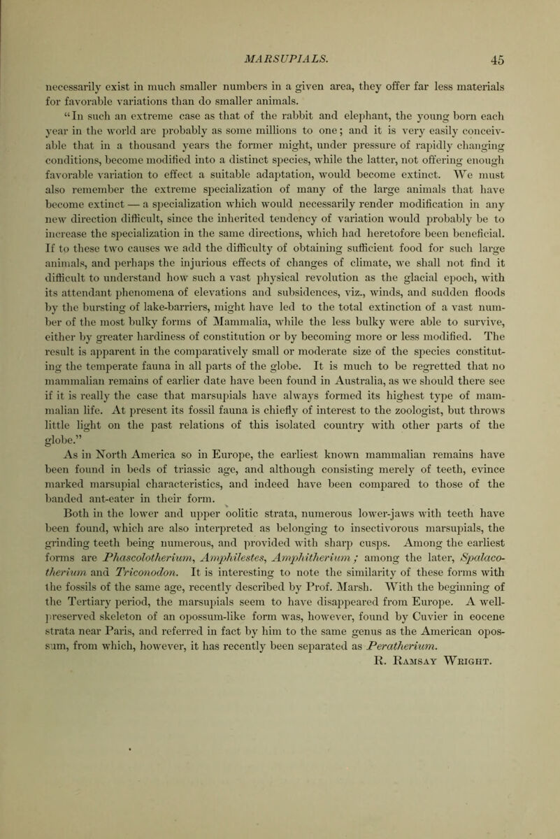 necessarily exist in much smaller numbers in a given area, they offer far less materials for favorable variations than do smaller animals. “In such an extreme case as that of the rabbit and elephant, the young born each year in the world are probably as some millions to one; and it is very easily conceiv- able that in a thousand years the former might, under pressure of rapidly changing conditions, become modified into a distinct species, while the latter, not offering enough favorable variation to effect a suitable adaptation, would become extinct. We must also remember the extreme specialization of many of the large animals that have become extinct — a specialization which would necessarily render modification in any new direction difficult, since the inherited tendency of variation would probably be to increase the specialization in the same directions, which had heretofore been beneficial. If to these two causes we add the difficulty of obtaining sufficient food for such large animals, and perhaps the injurious effects of changes of climate, we shall not find it difficult to understand how such a vast physical revolution as the glacial epoch, with its attendant phenomena of elevations and subsidences, viz., winds, and sudden floods by the bursting of lake-barriers, might have led to the total extinction of a vast num- ber of the most bulky forms of Mammalia, while the less bulky were able to survive, either by greater hardiness of constitution or by becoming more or less modified. The result is apparent in the comparatively small or moderate size of the species constitut- ing the temperate fauna in all parts of the globe. It is much to be regretted that no mammalian remains of earlier date have been found in Australia, as we should there see if it is really the case that marsupials have always formed its highest type of mam- malian life. At present its fossil fauna is chiefly of interest to the zoologist, but throws little light on the past relations of this isolated country with other parts of the globe.” As in North America so in Europe, the earliest known mammalian remains have been found in beds of triassic age, and although consisting merely of teeth, evince marked marsupial characteristics, and indeed have been compared to those of the banded ant-eater in their form. V Both in the lower and upper oolitic strata, numerous lower-jaws with teeth have been found, which are also interpreted as belonging to insectivorous marsupials, the grinding teeth being numerous, and provided with sharp cusps. Among the earliest forms are Phascolotherium, Amphilestes, Amphitherium; among the later, Spalaco- therium and Triconodon. It is interesting to note the similarity of these forms with the fossils of the same age, recently described by Prof. Marsh. With the beginning of the Tertiary period, the marsupials seem to have disappeared from Europe. A well- preserved skeleton of an opossum-like form was, however, found by Cuvier in eocene strata near Paris, and referred in fact by him to the same genus as the American opos- sum, from which, however, it has recently been separated as Peratherium. R. Ramsay Wright.