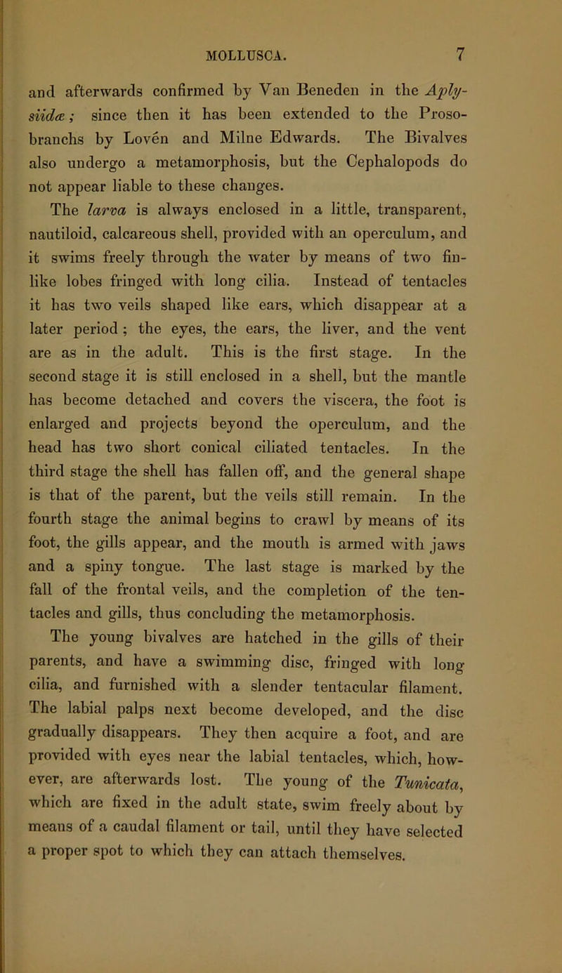 ancl afterwards confirmed by Van Beneden in the Aply- siidce; since then it has been extended to the Proso- branchs by Loven and Milne Edwards. The Bivalves also undergo a metamorphosis, but the Cephalopods do not appear liable to these changes. The larva is always enclosed in a little, transparent, nautiloid, calcareous shell, provided with an operculum, and it swims freely through the water by means of two fin- like lobes fringed with long cilia. Instead of tentacles it has two veils shaped like ears, which disappear at a later period ; the eyes, the ears, the liver, and the vent are as in the adult. This is the first stage. In the second stage it is still enclosed in a shell, but the mantle has become detached and covers the viscera, the foot is enlarged and projects beyond the operculum, and the head has two short conical ciliated tentacles. In the third stage the shell has fallen off, and the general shape is that of the parent, but the veils still remain. In the fourth stage the animal begins to crawl by means of its foot, the gills appear, and the mouth is armed with jaws and a spiny tongue. The last stage is marked by the fall of the frontal veils, and the completion of the ten- tacles and gills, thus concluding the metamorphosis. The young bivalves are hatched in the gills of their parents, and have a swimming disc, fringed with long- cilia, and furnished with a slender tentacular filament. The labial palps next become developed, and the disc gradually disappears. They then acquire a foot, and are provided with eyes near the labial tentacles, which, how- ever, are afterwards lost. Tbe young of the Tunicata, which are fixed in the adult state, swim freely about by means of a caudal filament or tail, until they have selected a proper spot to which they can attach themselves.