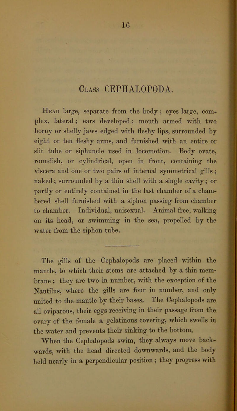 Class CEPHALOPODA. Head large, separate from the body ; eyes large, com- plex, lateral; ears developed; mouth armed with two horny or shelly jaws edged with fleshy lips, surrounded by eight or ten fleshy arms, and furnished with an entire or slit tube or siphuncle used in locomotion. Body ovate, roundish, or cylindrical, open in front, containing the viscera and one or two pairs of internal symmetrical gills; naked; surrounded by a thin shell with a single cavity; or partly or entirely contained in the last chamber of a cham- bered shell furnished with a siphon passing from chamber to chamber. Individual, unisexual. Animal free, walking on its head, or swimming in the sea, propelled by the water from the siphon tube. The gills of the Cephalopods are placed within the mantle, to which their stems are attached by a thin mem- brane ; they are two in number, with the exception of the Nautilus, where the gills are four in number, and only united to the mantle by their bases. The Cephalopods are all oviparous, their eggs receiving in their passage from the ovary of the female a gelatinous covering, which swells in the water and prevents their sinking to the bottom. When the Cephalopods swim, they always move back- wards, with the head directed downwards, and the body held nearly in a perpendicular position; they progress with