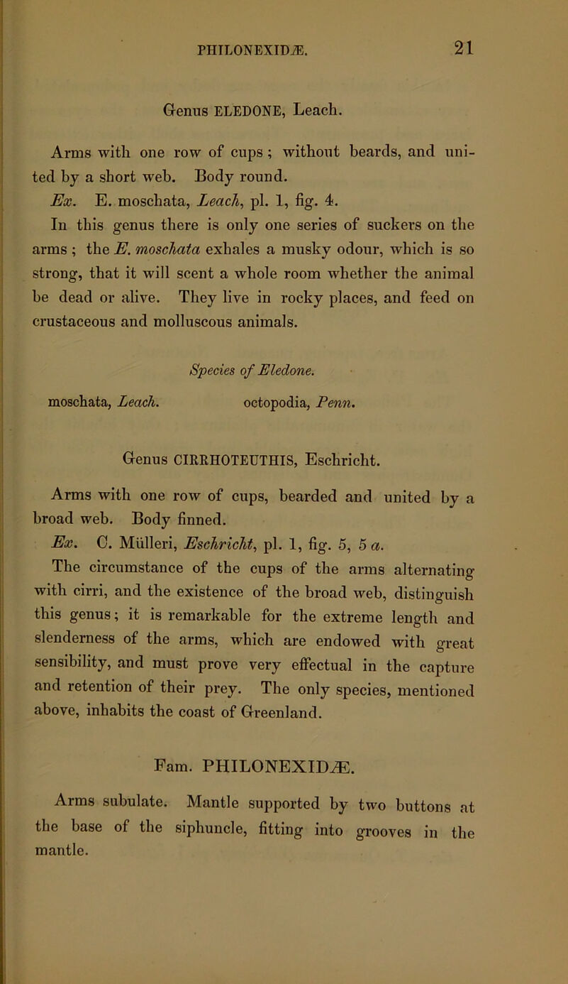 Genus ELEDONE, Leach. Arms with one row of cups ; without beards, and uni- ted by a short web. Body round. Ex. E. moschata, Leach, pi. 1, fig. 4. In this genus there is only one series of suckers on the arms ; the E. moschata exhales a musky odour, which is so strong, that it will scent a whole room whether the animal be dead or alive. They live in rocky places, and feed on crustaceous and molluscous animals. Species of Eledone. moschata, Leach. octopodia, Penn. Genus CIRRHOTEUTHIS, Eschricht. Arms with one row of cups, bearded and united by a broad web. Body finned. Ex. C. Miilleri, Eschricht, pi. 1, fig. 5, 5 a. The circumstance of the cups of the arms alternating with cirri, and the existence of the broad web, distinguish this genus; it is remarkable for the extreme length and slenderness of the arms, which are endowed with great sensibility, and must prove very effectual in the capture and retention of their prey. The only species, mentioned above, inhabits the coast of Greenland. Fam. PHILONEXIDiE. Arms subulate. Mantle supported by two buttons at the base of the siphuncle, fitting into grooves in the mantle.