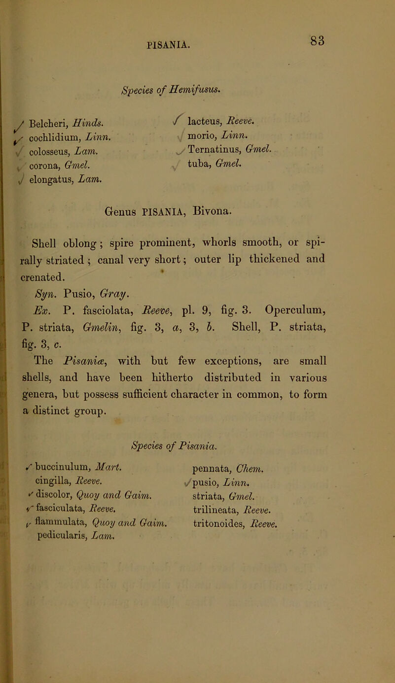 PISANIA. Species of Hemifusus. y Belcheri, Hinds. ^ cochlidium, Linn. colosseus, Lam. corona, Gmel. J elongatus, Lam. f lacteus, Reeve. morio, Linn. Ternatinus, Gmel. tuba, Gmel. Genus PISANIA, Bivona. Shell oblong; spire prominent, whorls smooth, or spi- rally striated ; canal very short; outer lip thickened and crenated. Syn. Pusio, Gray. Ex. P. fasciolata, Reeve, pi. 9, fig. 3. Operculum, P. striata, Gmelin, fig. 3, a, 3, b. Shell, P. striata, fig. 3, c. The Pisanice, with but few exceptions, are small shells, and have been hitherto distributed in various genera, but possess sufficient character in common, to form a distinct group. Species of Pisania. S buccinulum, Mart. pennata, Chem. cingilla, Reeve. t/ pusio, Linn. striata, Gmel. trilineata, Reeve. tritonoides, Reeve. * discolor, Quoy and Gaim. •f fasciculata, Reeve. t,' flammulata, Quoy and Gaim. pedicularis, Lam.