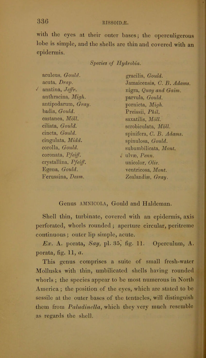 with the eyes at their outer bases; the operculigerous lobe is simple, and the shells are thin and covered with an epidermis. Species of Hydrobia. aculeus, Gould. acuta, Drap. J anatina, Jeffr. anthracina, Migh. antipodarum, Gray. badia, Gould. castanea, Moll. ciliata, Gould. cincta, Gould. cingulata, Midd. corolla, Gould. coronata, Pfeiff. crystallina, Pfeiff. Egena, Gould. Ferussina, Desm. gracilis, Gould. Jamaicensis, C. B. Adams. nigra, Quoy and Gaim. parvula, Gould. pornicta, Migh. Preissii, Phil. saxatilis, Moll. scrobiculata, Moll. spinifera, C. B. Adams. spinulosa, Goidd. subumbilicata, Mont. J uIvsb, Penn. unicolor, Oliv. ventricosa, Mont. Zealandise, Gray. Genus AMNICOLA, Gould and Haldeman. Shell thin, turbinate, covered with an epidermis, axis perforated, whorls rounded ; aperture circular, peritreme continuous ; outer lip simple, acute. Ex. A. porata, Say, pi. 35, fig. 11. Operculum, A. porata, fig. 11, a. This genus comprises a suite of small lresh-water Molluslcs with thin, umbilicatcd shells having rounded whorls ; the species appear to be most numerous in North America; the position of the eyes, which are stated to be sessile at the outer bases of the tentacles, will distinguish them from Paludinella, which they very much resemble as regards the shell.