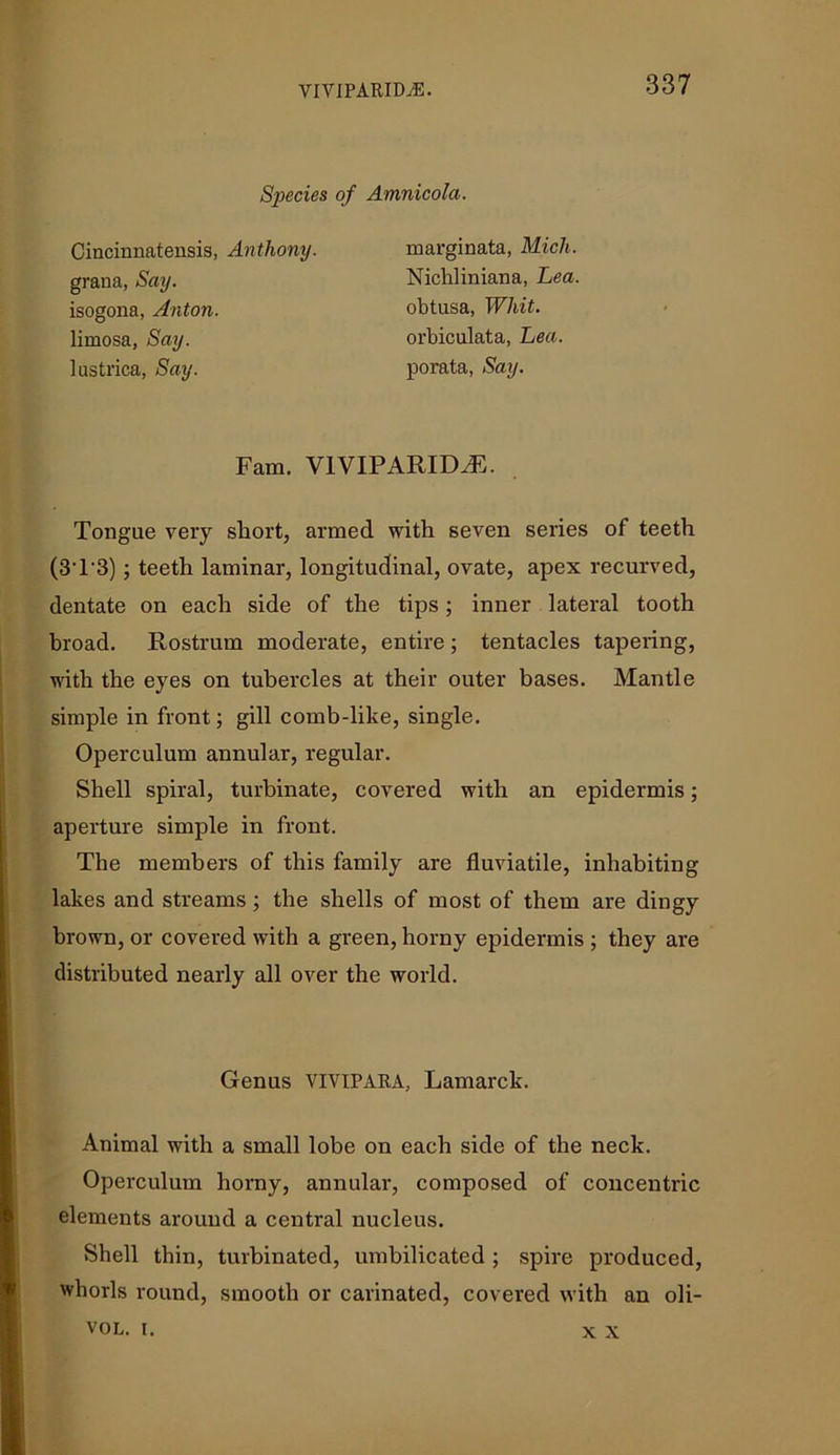 Species of Amnicola. Cincmnatensis, Anthony. grana, Say. isogona, Anton. limosa, Say. lustrica, Say. marginata, Mich. Nichliniana, Lea. obtusa, Whit. orbiculata, Lea. porata, Say. Fam. V1VIPARID.E. Tongue very short, armed with seven series of teeth (3T-3); teeth laminar, longitudinal, ovate, apex recurved, dentate on each side of the tips; inner lateral tooth broad. Rostrum moderate, entire; tentacles tapering, with the eyes on tubercles at their outer bases. Mantle simple in front; gill comb-like, single. Operculum annular, regular. Shell spiral, turbinate, covered with an epidermis; aperture simple in front. The members of this family are fluviatile, inhabiting lakes and streams; the shells of most of them are dingy brown, or covered with a green, horny epidermis ; they are distributed nearly all over the world. Animal with a small lobe on each side of the neck. Operculum horny, annular, composed of concentric elements around a central nucleus. Shell thin, turbinated, umbilicated ; spire produced, whorls round, smooth or carinated, covered with an oli- Genus VIVIPARA, Lamarck. VOL. i. X X