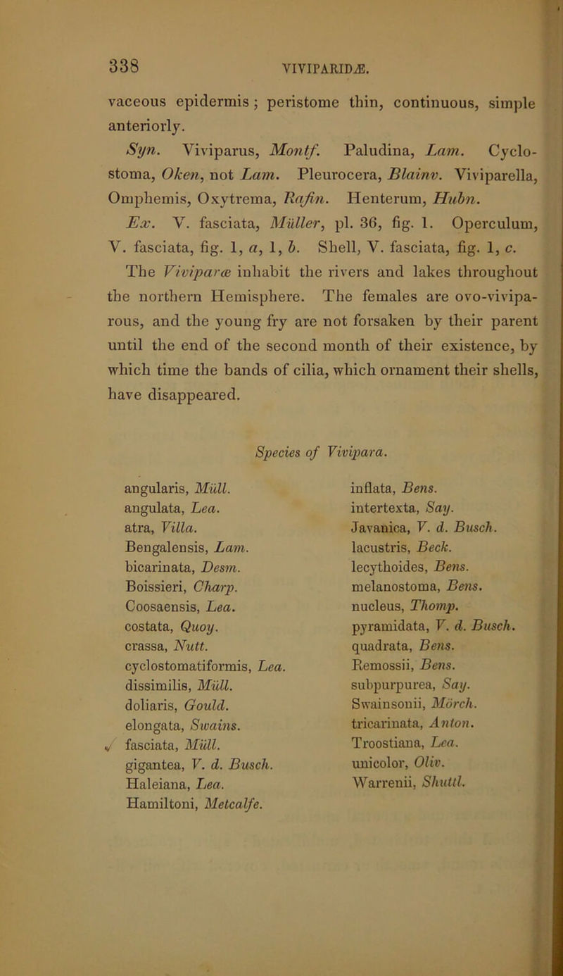 vaceous epidermis ; peristome thin, continuous, simple anteriorly. Syn. Viviparus, Montf. Paludina, Lam. Cyclo- stoma, Oken, not Lam. Pleurocera, Blainv. Viviparella, Omphemis, Oxytrema, Rafin. Henterum, Hubn. Ex. V. fasciata, Muller, pi. 36, fig. 1. Operculum, V. fasciata, fig. 1, a, 1, b. Shell, V. fasciata, fig. 1, c. The Viviparce inhabit the rivers and lakes throughout the northern Hemisphere. The females are ovo-vivipa- rous, and the young fry are not forsaken by their parent until the end of the second month of their existence, by which time the bands of cilia, which ornament their shells, have disappeared. Species of Vivipara. f fasciata, Mull. gigantea, V. d. Busch. Haleiana, Lea. Hamiltoni, Metcalfe. angularis, Midi. angulata, Lea. atra, Villa. Bengalensis, Lam. bicarinata, Desm. Boissieri, Cliarp. Coosaensis, Lea. costata, Quoy. crassa, Nutt. cyclostomatiformis, Lea. dissimilis, Mull. doliaris, Gould. elongata, Swains. inflata, Bens. intertexta, Say. Javanica, V. d. Busch. lacustris, Beck. lecythoides, Bens. melanostoma, Bens. nucleus, Thomp. pyramidata, V. d. Busch. quadrata, Bens. Remossii, Bens. subpurpurea, Say. Swainsouii, March. tricarinata, Anton. Troostiana, Lea. unicolor, Oliv. Warrenii, Shuttl.