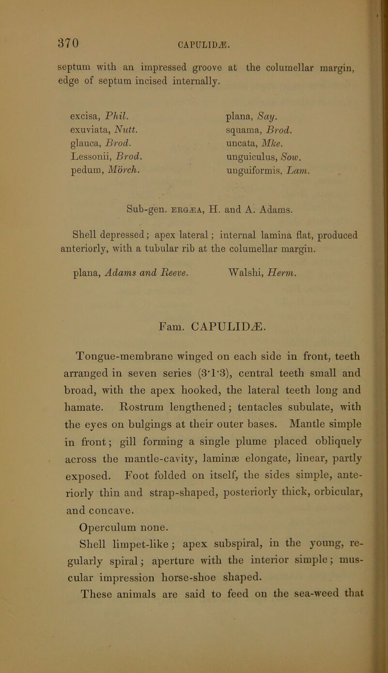 septum with an impressed groove at the coluraellar margin, edge of septum incised internally. excisa, Phil. exuviata, Nutt. glauca, Brocl. Lessonii, Brod. pedum, Morch. plana, Say. squama, Brod. uncata, Mice. unguiculus, Sow. unguiformis, Lam. Sub-gen. ergjsa, H. and A. Adams. Shell depressed; apex lateral; internal lamina flat, produced anteriorly, with a tubular rib at the columellar margin. plana, Adams and Reeve. Walshi, Herm. Fam. CAPULIDJ5. Tongue-membrane winged on each side in front, teeth arranged in seven series (3T‘3), central teeth small and broad, with the apex hooked, the lateral teeth long and hamate. Rostrum lengthened; tentacles subulate, with the eyes on bulgings at their outer bases. Mantle simple in front; gill forming a single plume placed obliquely across the mantle-cavity, laminae elongate, linear, partly exposed. Foot folded on itself, the sides simple, ante- riorly thin and strap-shaped, posteriorly thick, orbicular, and concave. Operculum none. Shell limpet-like ; apex subspiral, in the young, re- gularly spiral; aperture with the interior simple; mus- cular impression horse-shoe shaped. These animals are said to feed on the sea-weed that