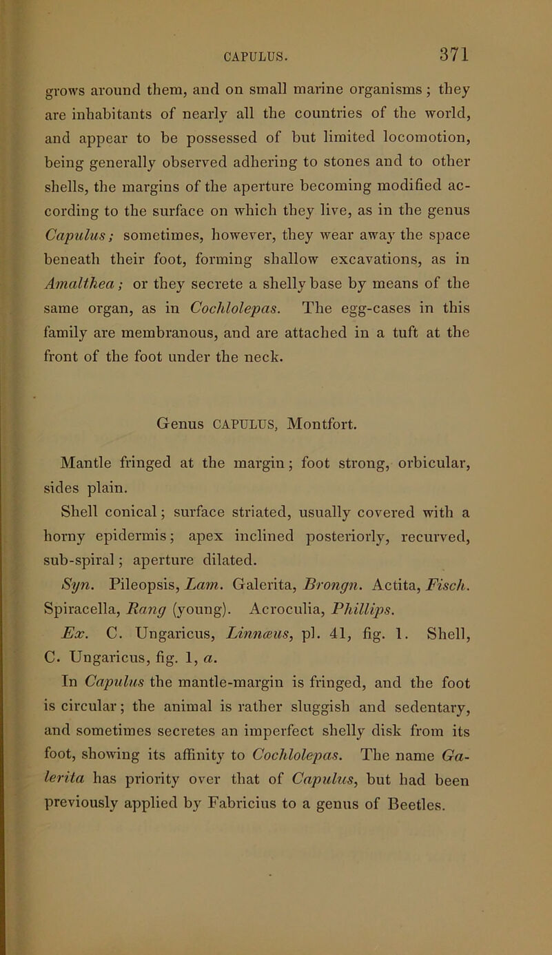 grows around them, and on small marine organisms; they are inhabitants of nearly all the countries of the world, and appear to be possessed of but limited locomotion, being generally observed adhering to stones and to other shells, the margins of the aperture becoming modified ac- cording to the surface on which they live, as in the genus Capulus; sometimes, however, they wear away the space beneath their foot, forming shallow excavations, as in Amalthea; or they secrete a shelly base by means of the same organ, as in Cochlolepas. The egg-cases in this family are membranous, and are attached in a tuft at the front of the foot under the neck. Genus CAPULUS, Montfort. Mantle fringed at the margin; foot strong, orbicular, sides plain. Shell conical; surface striated, usually covered with a horny epidermis; apex inclined posteriorly, recurved, sub-spiral; aperture dilated. Syn. Pileopsis, Lam. Galerita, Brongn. Actita, Fisch. Spiracella, Rang (young). Acroculia, Phillips. Ex. C. Ungaricus, Linnaeus, pi. 41, fig. 1. Shell, C. Ungaricus, fig. 1, a. In Capulus the mantle-margin is fringed, and the foot is circular; the animal is rather sluggish and sedentary, and sometimes secretes an imperfect shelly disk from its foot, showing its affinity to Cochlolepas. The name Ga- lerita has priority over that of Capulus, but had been previously applied by Fabricius to a genus of Beetles.