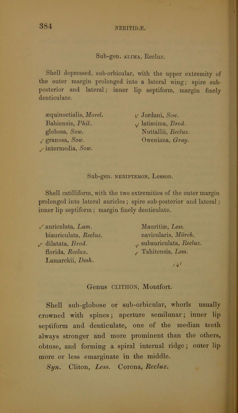 NERITIDyE. Sub-gen. altma, Recluz. Shell depressed, sub-orbicular, with the upper extremity of the outer margin prolonged iuto a lateral wing; spire sub- posterior and lateral; inner denticulate. sequinoctialis, Morel. Bahiensis, Phil. globosa, Soiv. j granosa, Sow. / intermedia, Sow. lip septiform, margin finely V Jordani, Soiv. ^ latissima, Brod. Nuttallii, Recluz. Oweniana, Gray. Sub-gen. neripteron, Lesson. Shell catilliform, with the two extremities of the outer margin prolonged into lateral auricles ; spire sub-posterior and lateral; inner lip septiform; margin finely denticulate. / auriculata, Bam. biauriculata, Recluz. S dilatata, Brod. florida, Recluz. Lamarckii, Desk. Mauritise, Less. navicularis, Morch. ^ subauriculata, Recluz. j Tahitensis, Less. Genus CLITIION, Montfort. Shell sub-globose or sub-orbicular, whorls usually crowned with spines; aperture semilunar; inner lip septiform and denticulate, one of the median teeth always stronger and more prominent than the others, obtuse, and forming a spiral internal ridge; outer lip more or less emarginate in the middle. Si/ti. Cliton, Less. Corona, Recluz.