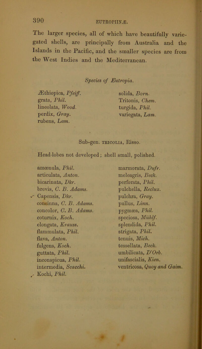 The larger species, all of which have beautifully varie- gated shells, are principally from Australia and the Islands in the Pacific, and the smaller species are from the West Indies and the Mediterranean. Species of Eutropia. iEthiopica, Pfeiff. grata, Phil. lineolata, Wood. perdix, Gray. rubens, Lam. solida, Born. Tritonis, Chem turgida, Phil. variegata, Lam Sub-gen. tricolia, Risso. Head-lobes not developed; shell small, polished. amoenula, Phil. articulata, Anton. bicarinata, Dhr. brevis, C. B. Adams. •r Capensis, Dkr. conoinna, C. B. Adams. concolor, C. B. Adams. coturnix, Koch. elongata, Krauss. flammulata, Phil. flava, Anton. fulgens, Koch. guttata, Phil. inconspicua, Phil. intermedia, Scacclii. r Kochi, Phil. v * marmorata, Dufr. meleagris, Beck. perforata, Phil. pulchella, Recluz. pulchra, Gray. pullus, Linn. pygmtea, Phil. speciosa, Muhlf. splendida, Phil. strigata, Phil. tenuis, Mich. tessellata, Beck. umbilicata, D'Orb. unifascialis, Kien. ventricosa, Quoy and Gaim.