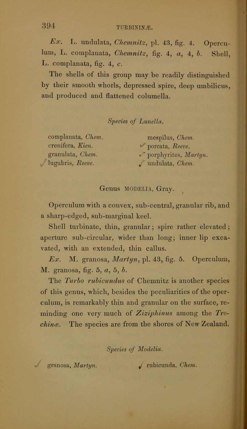 Ex. L. undulata, Chemnitz, pi. 43, fig. 4. Opercu- lum, L. complanata, Chemnitz, fig. 4, a, 4, h. Shell, L. complanata, fig. 4, c. The shells of this group may be readily distinguished by their smooth whorls, depressed spire, deep umbilicus, and produced and flattened columella. Species of Lunella. complanata, Chern. crenifera, Kien. granulata, Chern. lugubris, Reeve. mespilus, Chem. ' porcata, Reeve. </' porphyrites, Martyn. f undulata, Chem. Genus MODELIA, Gray. Operculum with a convex, sub-central, granular rib, and a sharp-edged, sub-marginal keel. Shell turbinate, thin, granular; spire rather elevated; aperture sub-circular, wider than long; inner lip exca- vated, with an extended, thin callus. Ex. M. granosa, Martyn, pi. 43, fig. 5. Operculum, M. granosa, fig. 5, a, 5, b. The Turbo rubicundus of Chemnitz is another species of this genus, which, besides the peculiarities of the oper- culum, is remarkably thin and granular on the surface, re- minding one very much of Ziziphinus among the Tro- ckinee. The species are from the shores of New Zealand. Species of Modelia. v/ granosa, Martyn. f rubicunda, Chon.